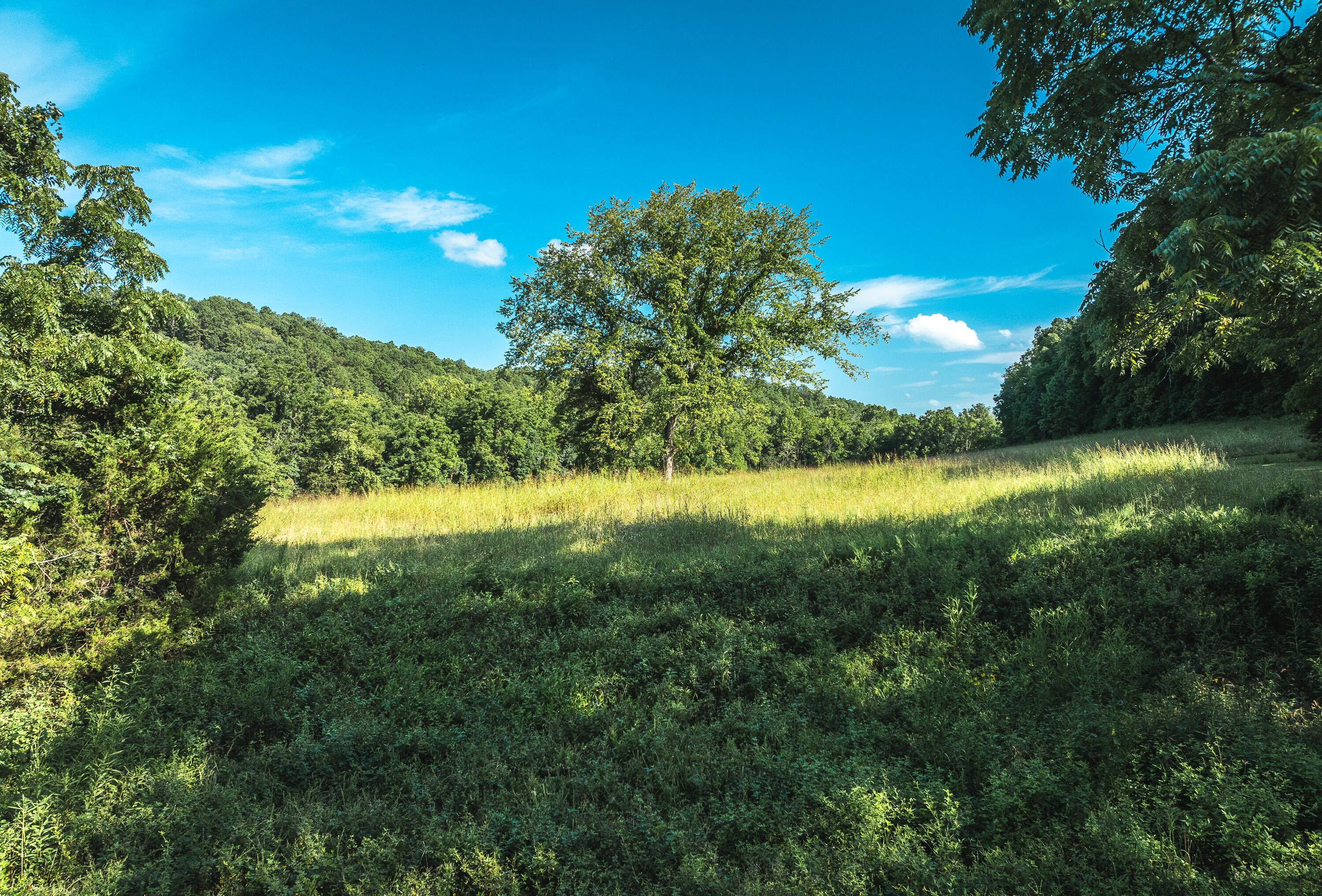 31085 County Road 346-a Road Property Photo 105