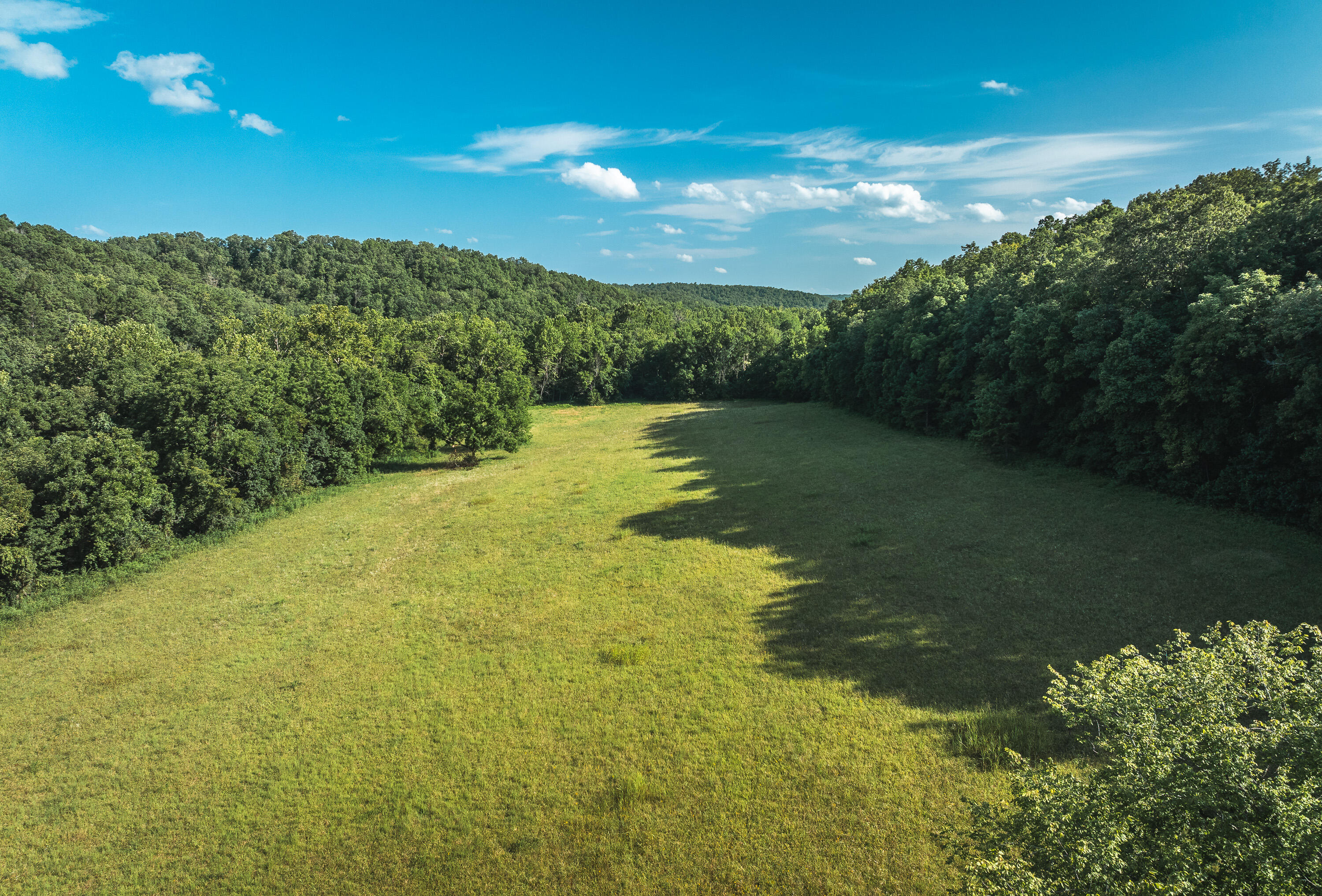 31085 County Road 346-a Road Property Photo 106
