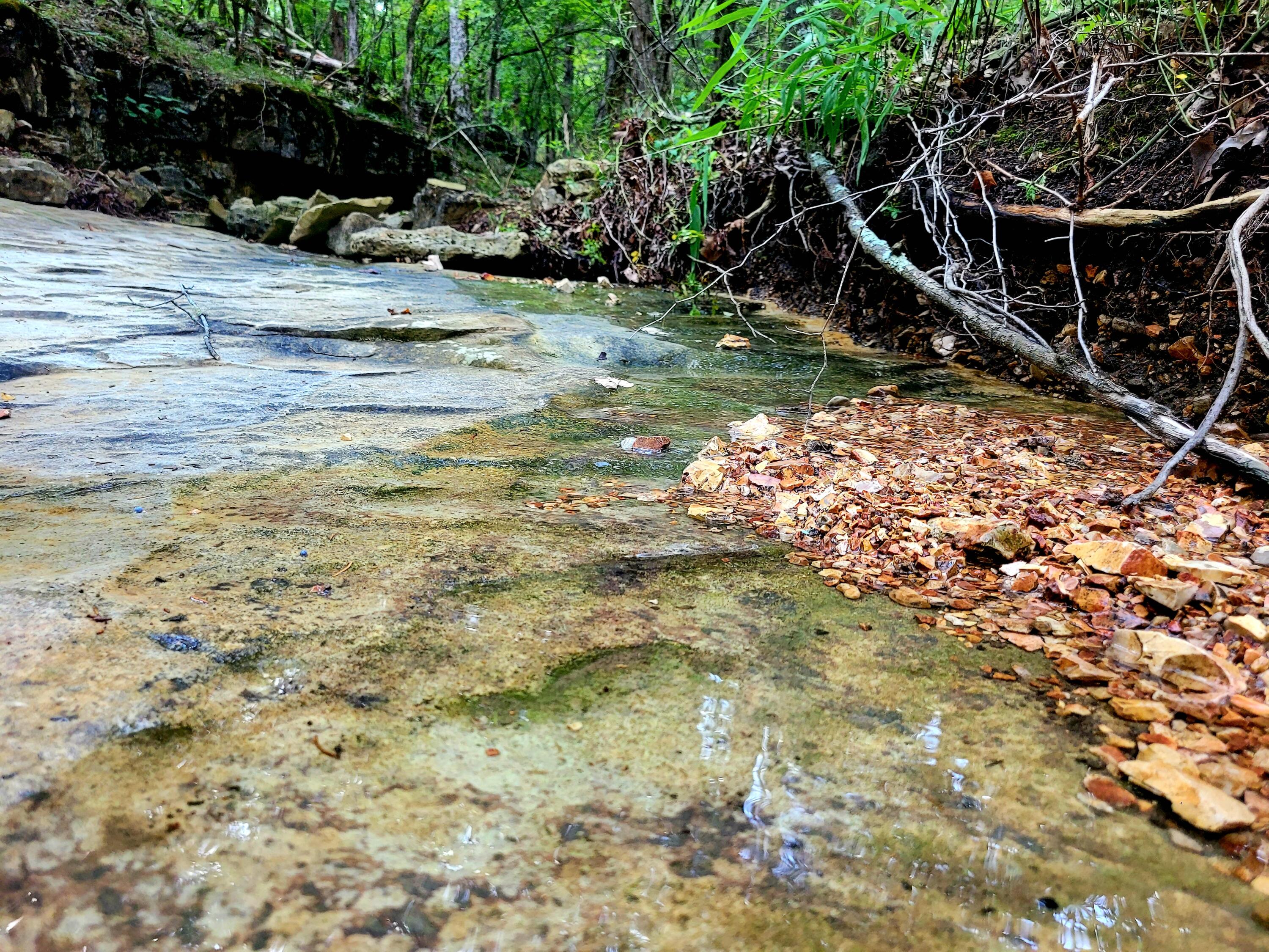 Lot 409 Sunset Drive Property Photo 19