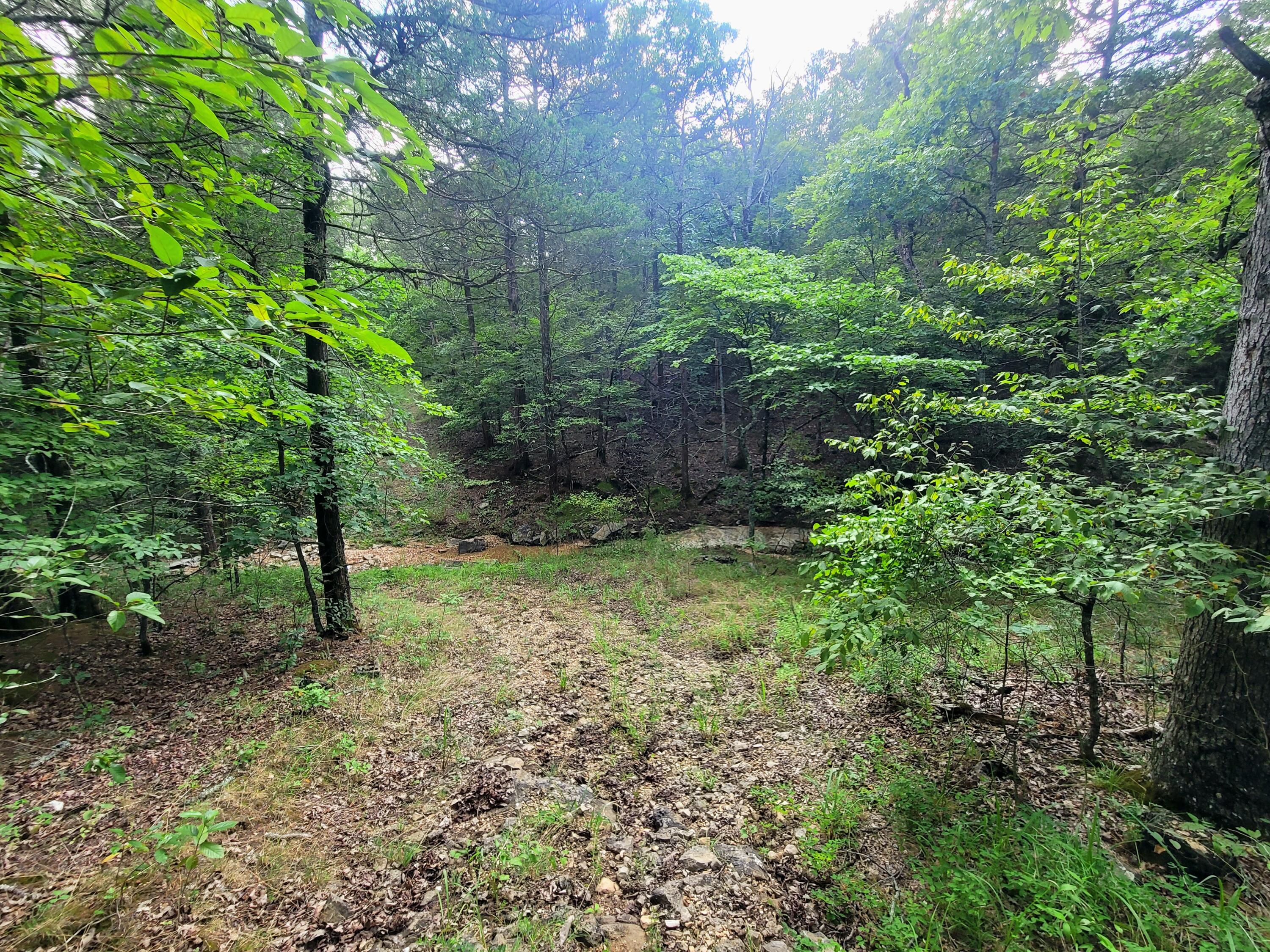 Lot 409 Sunset Drive Property Photo 20