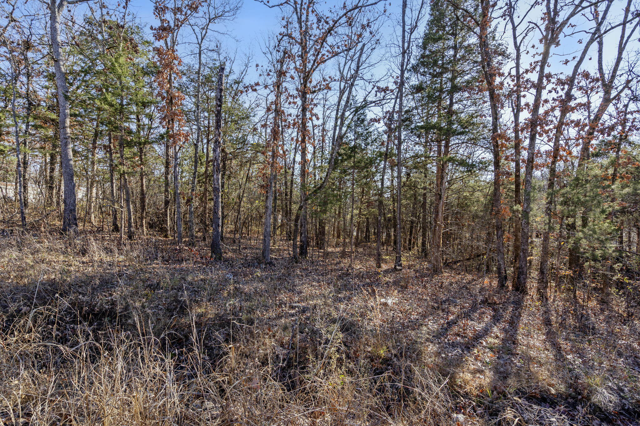 Lot 39 Driftwood Road Property Photo 5