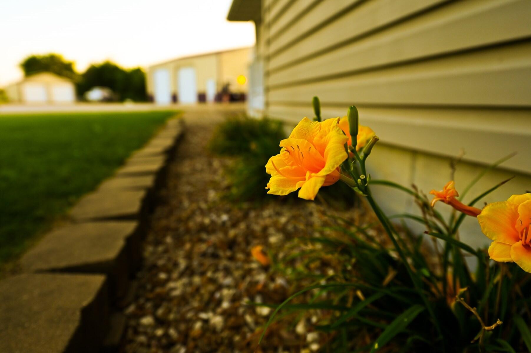 1324 South 601 Road Property Photo 29