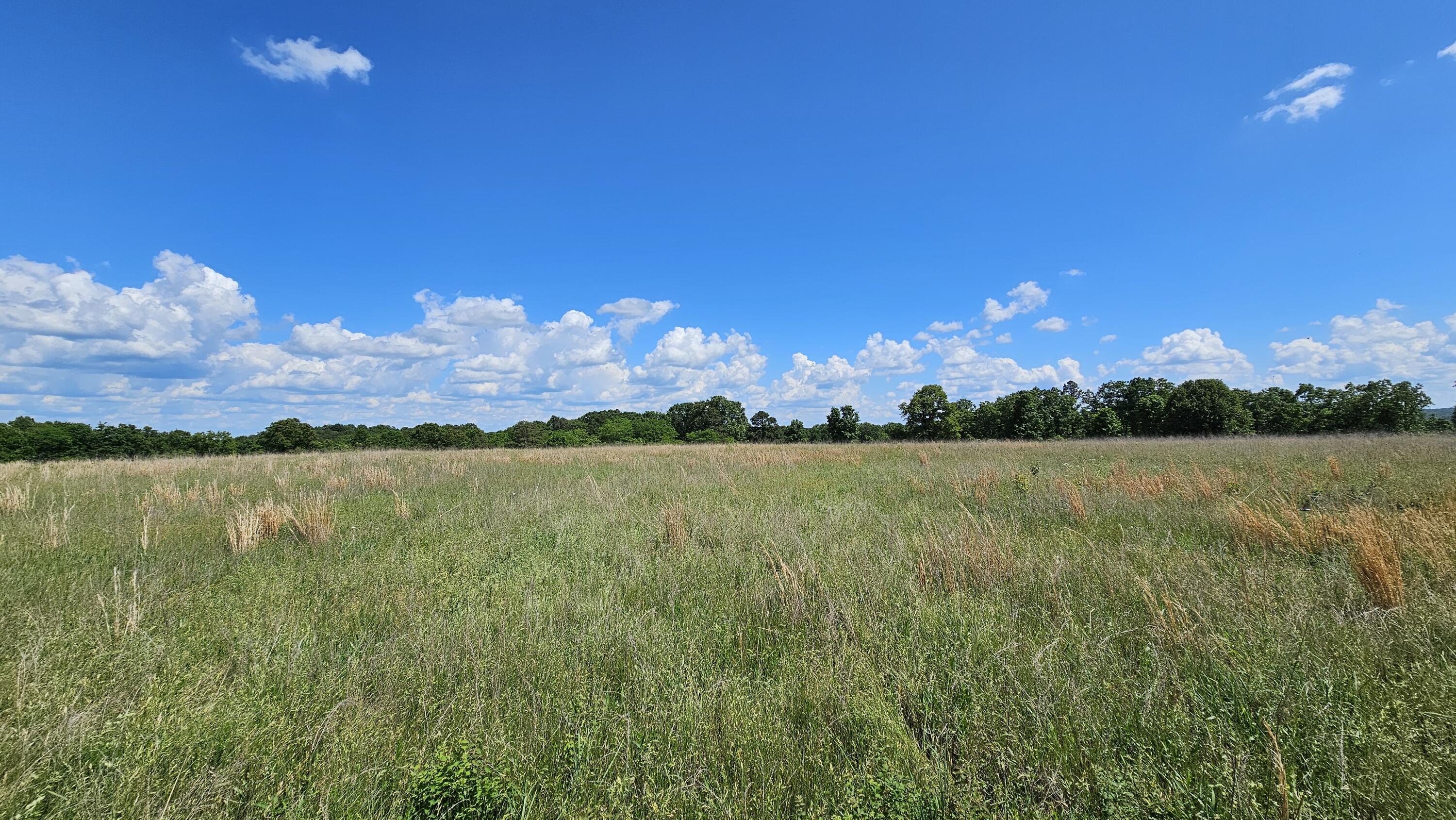 000 County Road Ee-270c Property Photo 6