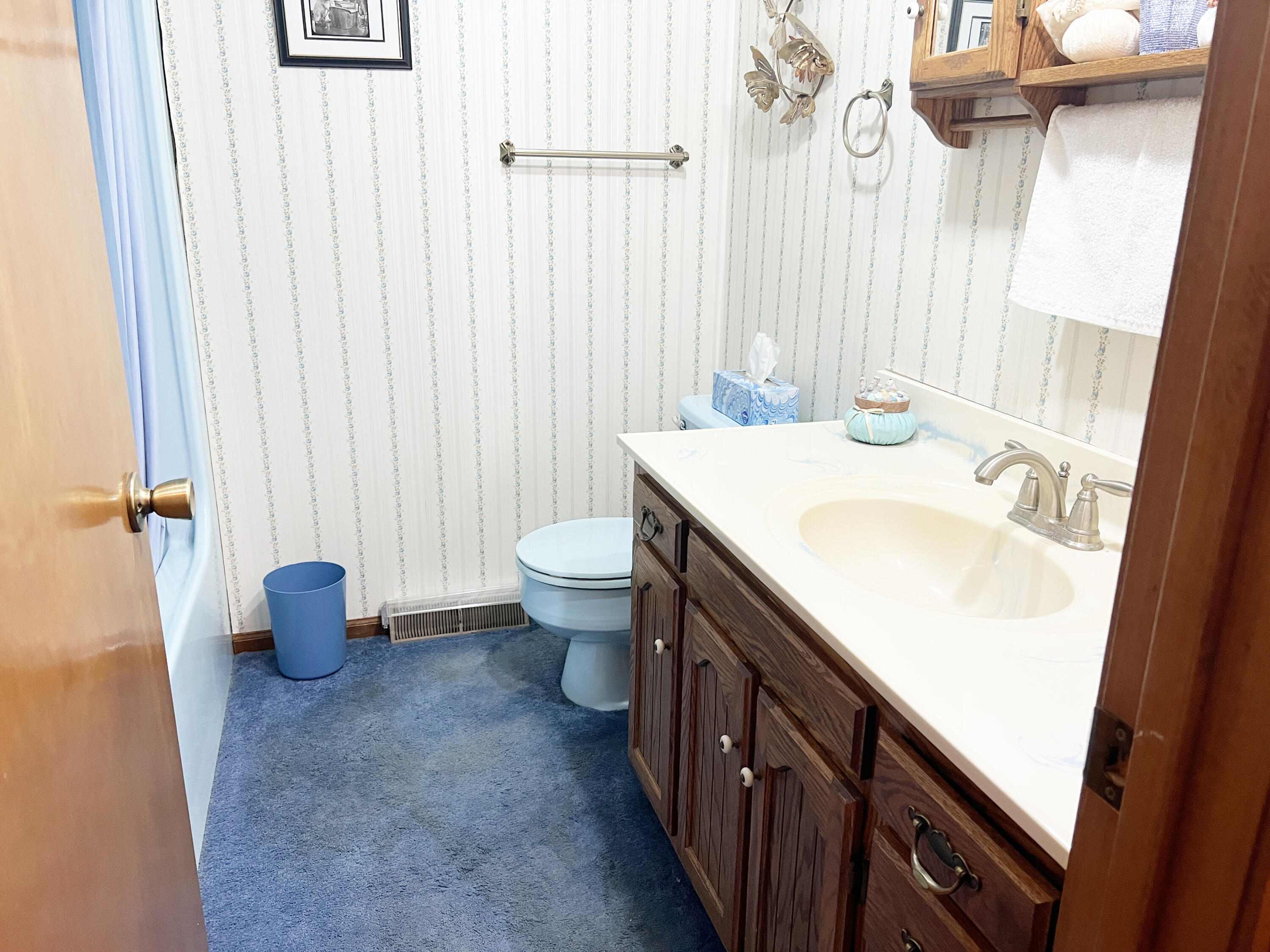 24037 County Road 287 Property Photo 19