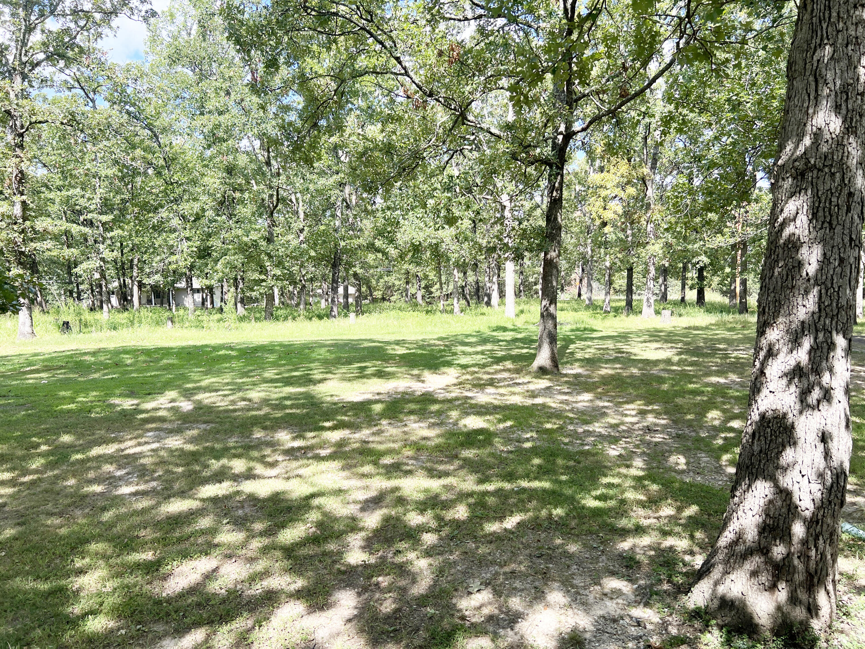 24037 County Road 287 Property Photo 31