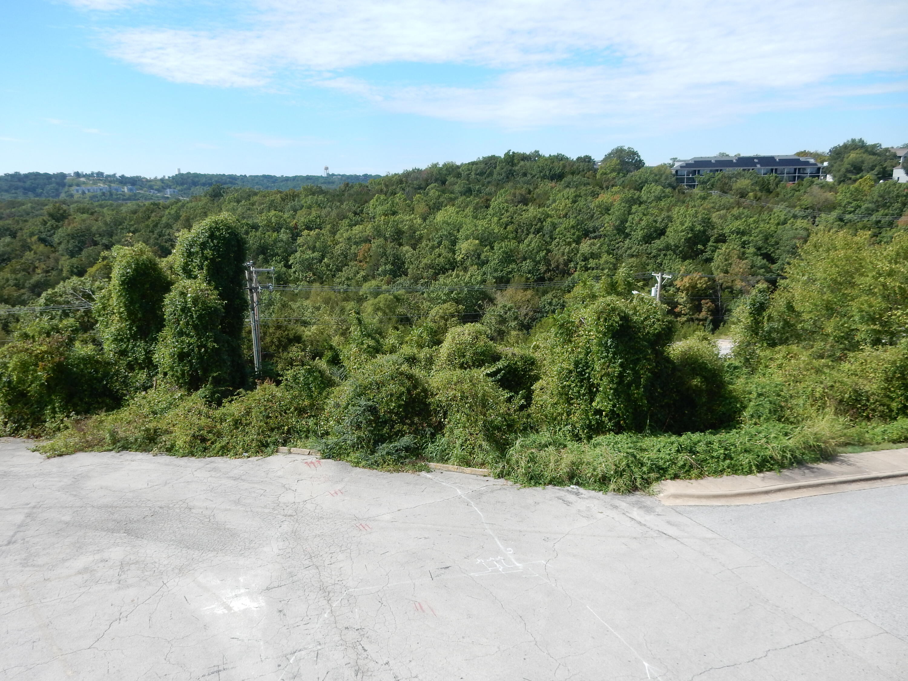 3500 Green Mountain Drive Property Photo 9