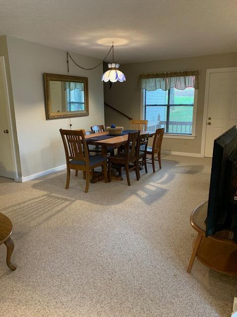 43 Dale Drive Property Photo 5