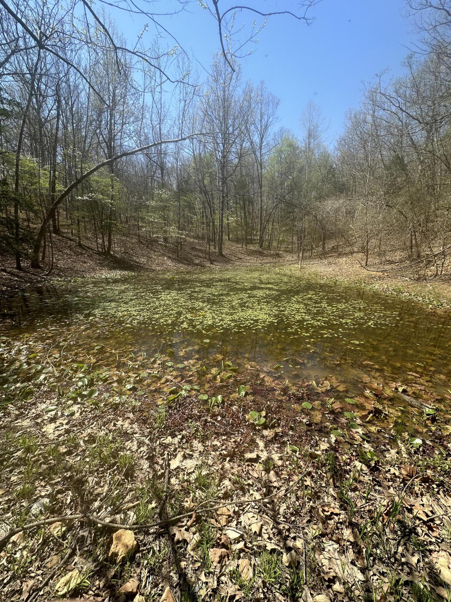 6378 State Route 142 Property Photo 17