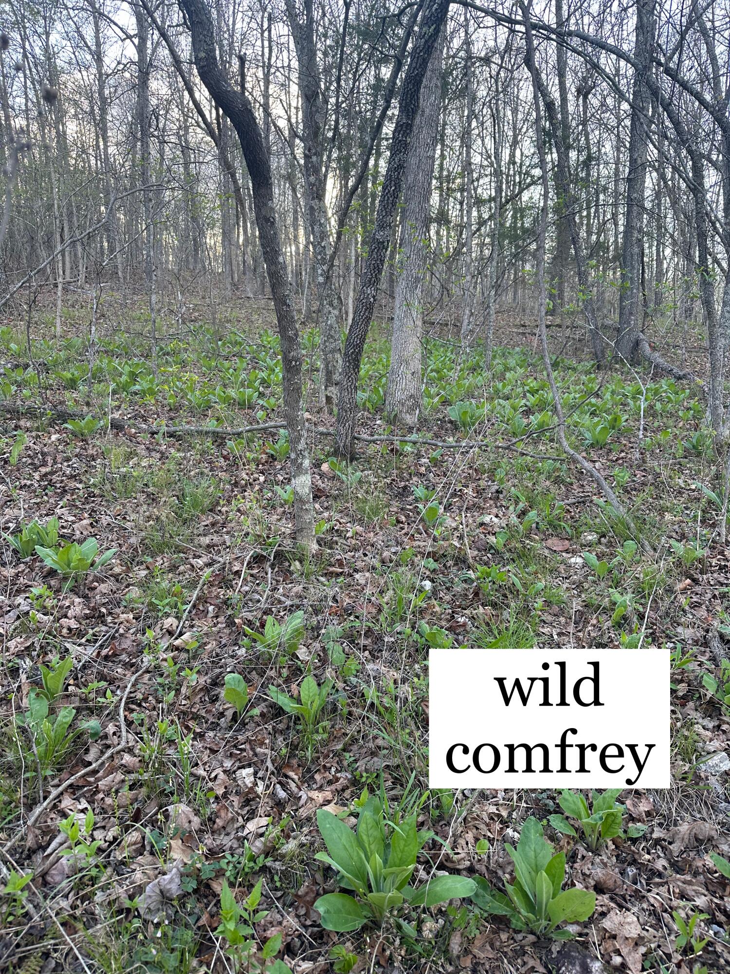 6378 State Route 142 Property Photo 18