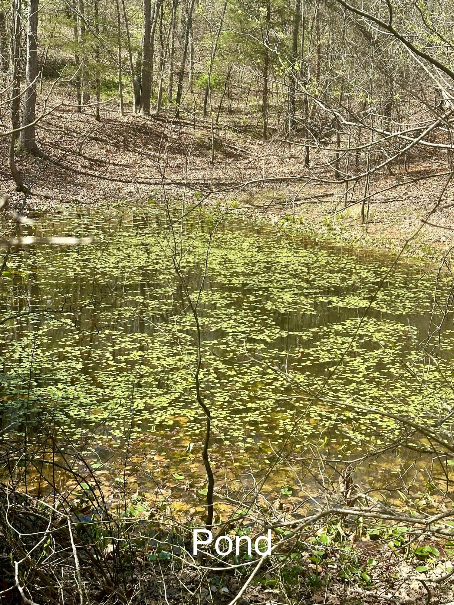 6378 State Route 142 Property Photo 19