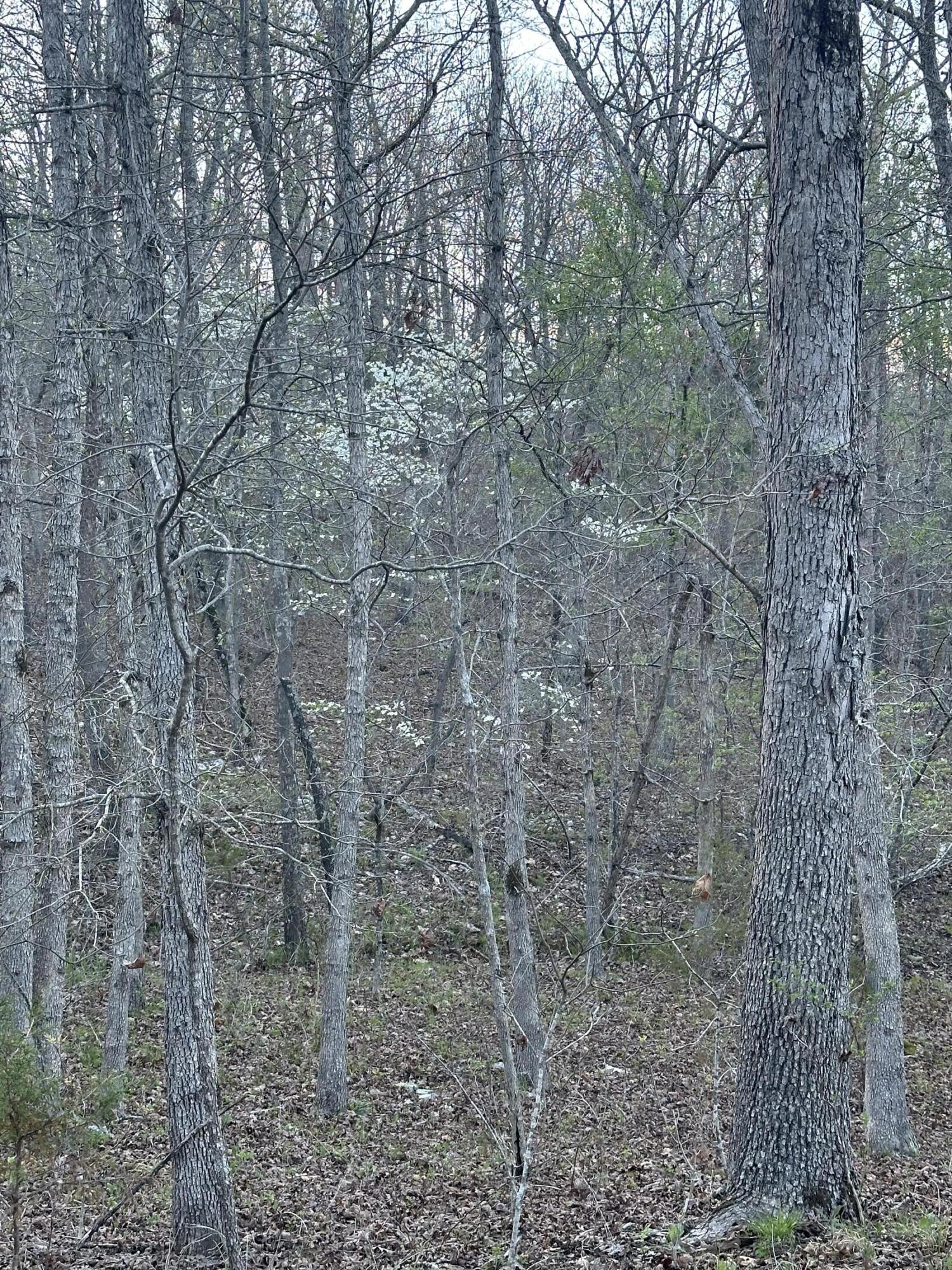 6378 State Route 142 Property Photo 45