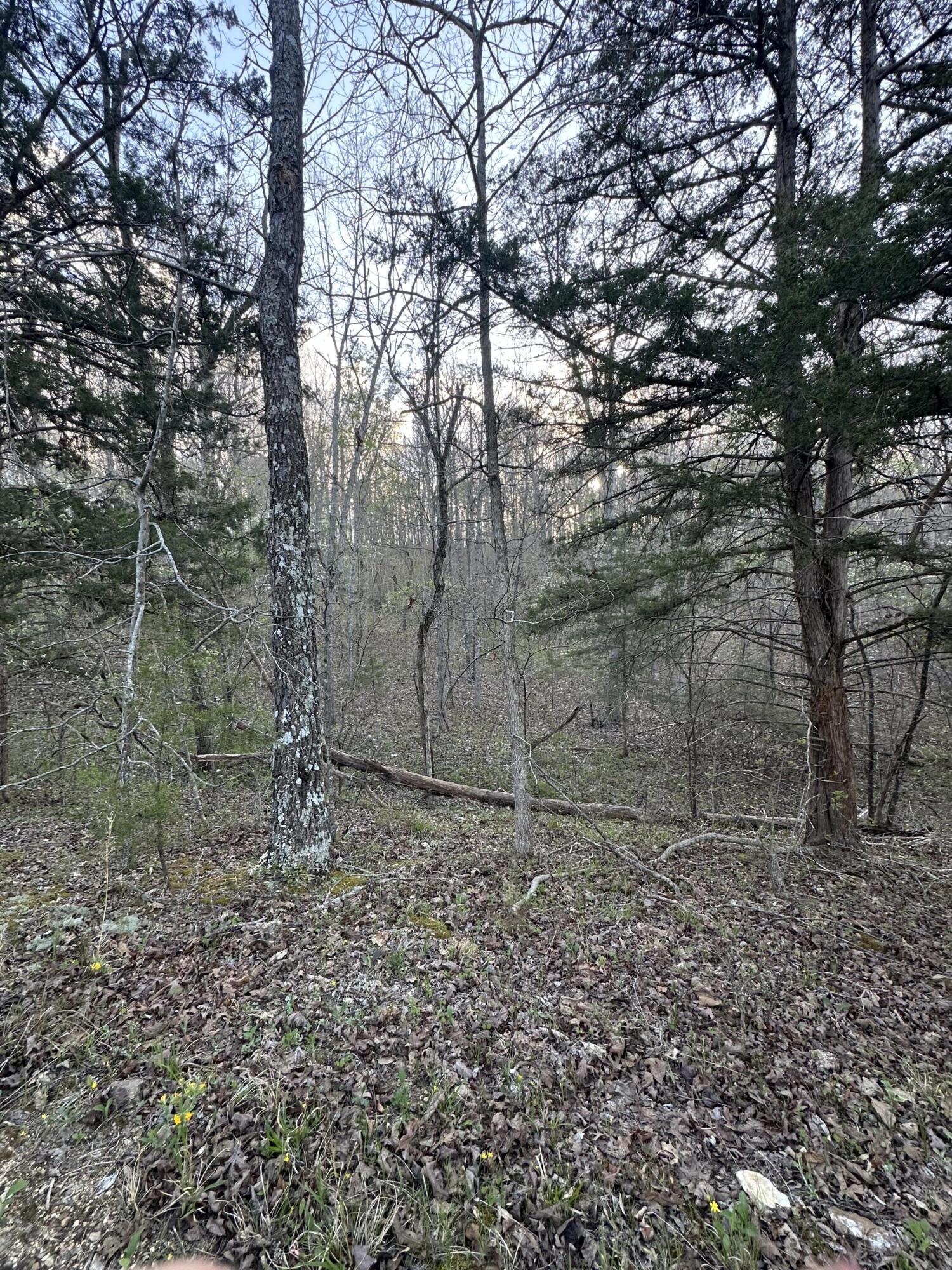 6378 State Route 142 Property Photo 47