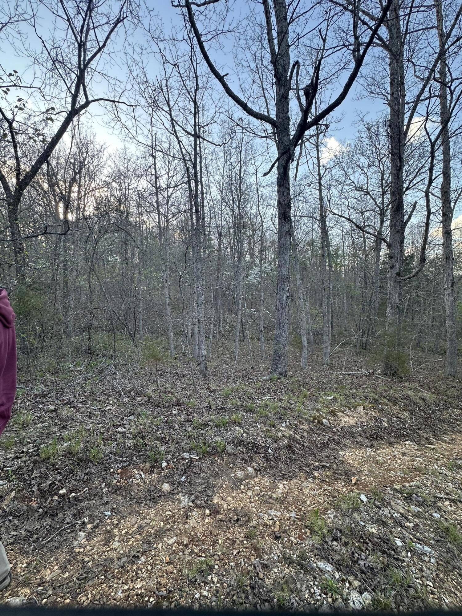 6378 State Route 142 Property Photo 50