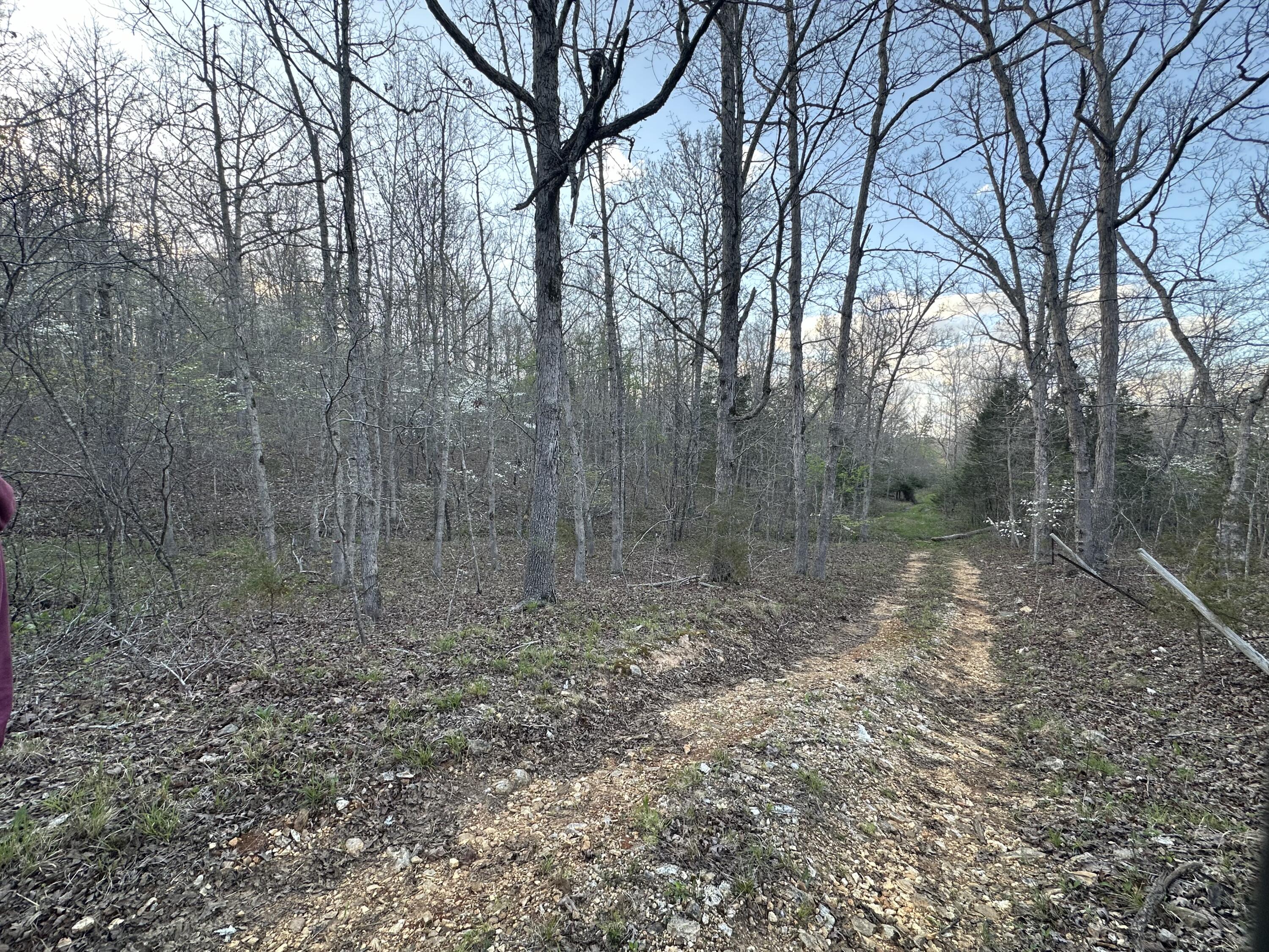 6378 State Route 142 Property Photo 51