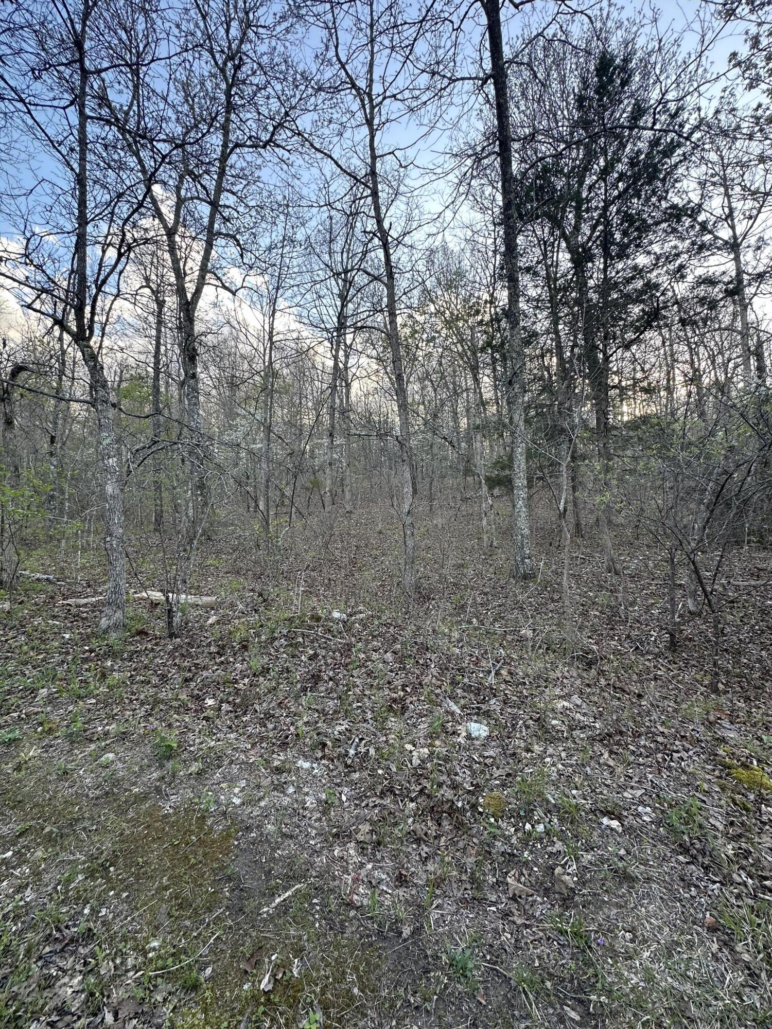 6378 State Route 142 Property Photo 53