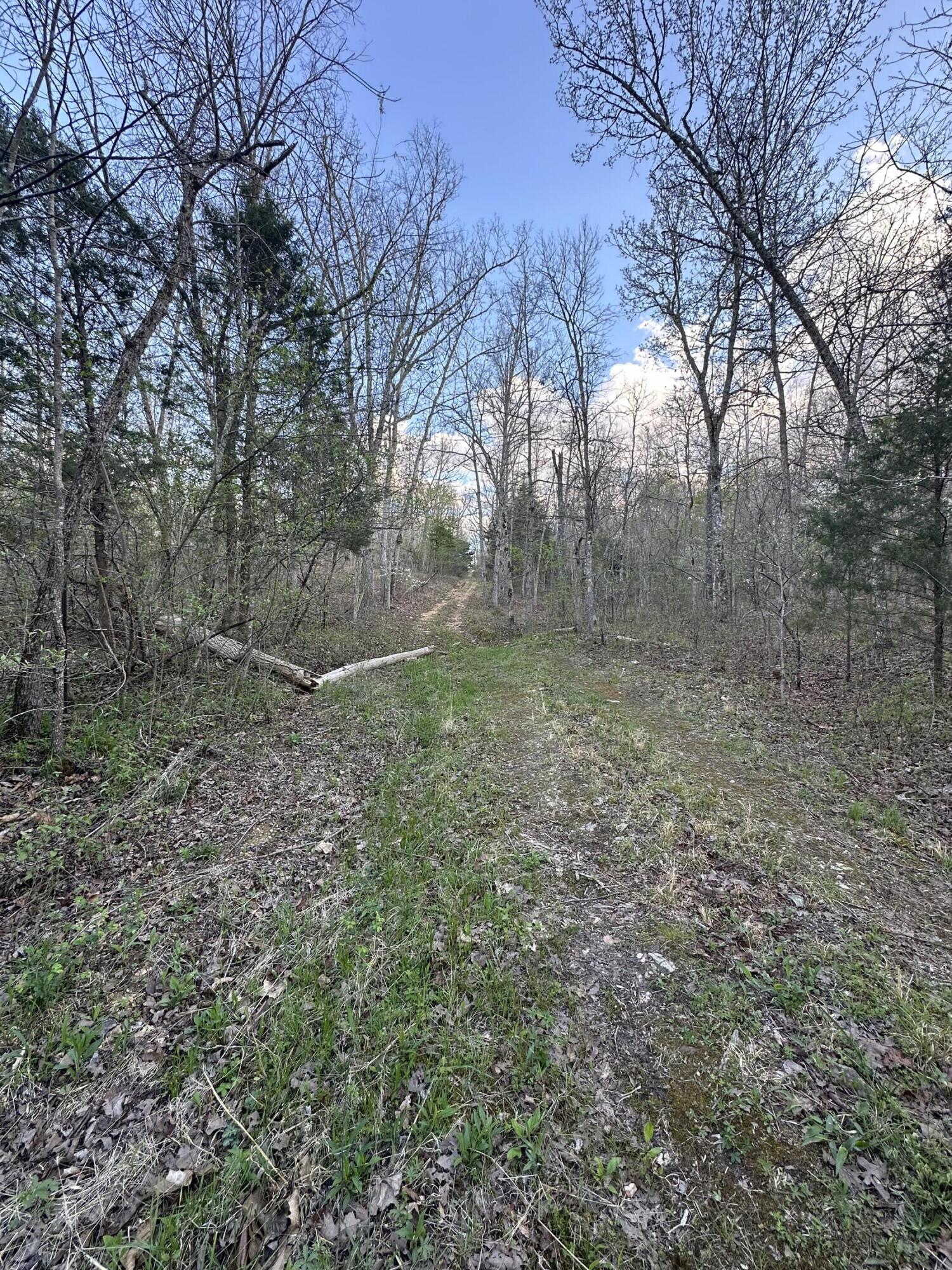 6378 State Route 142 Property Photo 54
