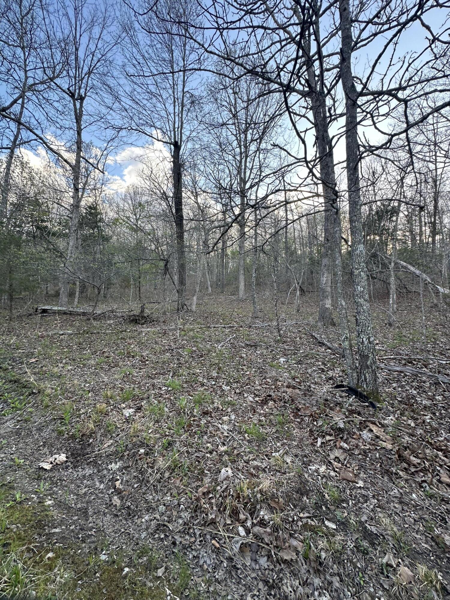 6378 State Route 142 Property Photo 55