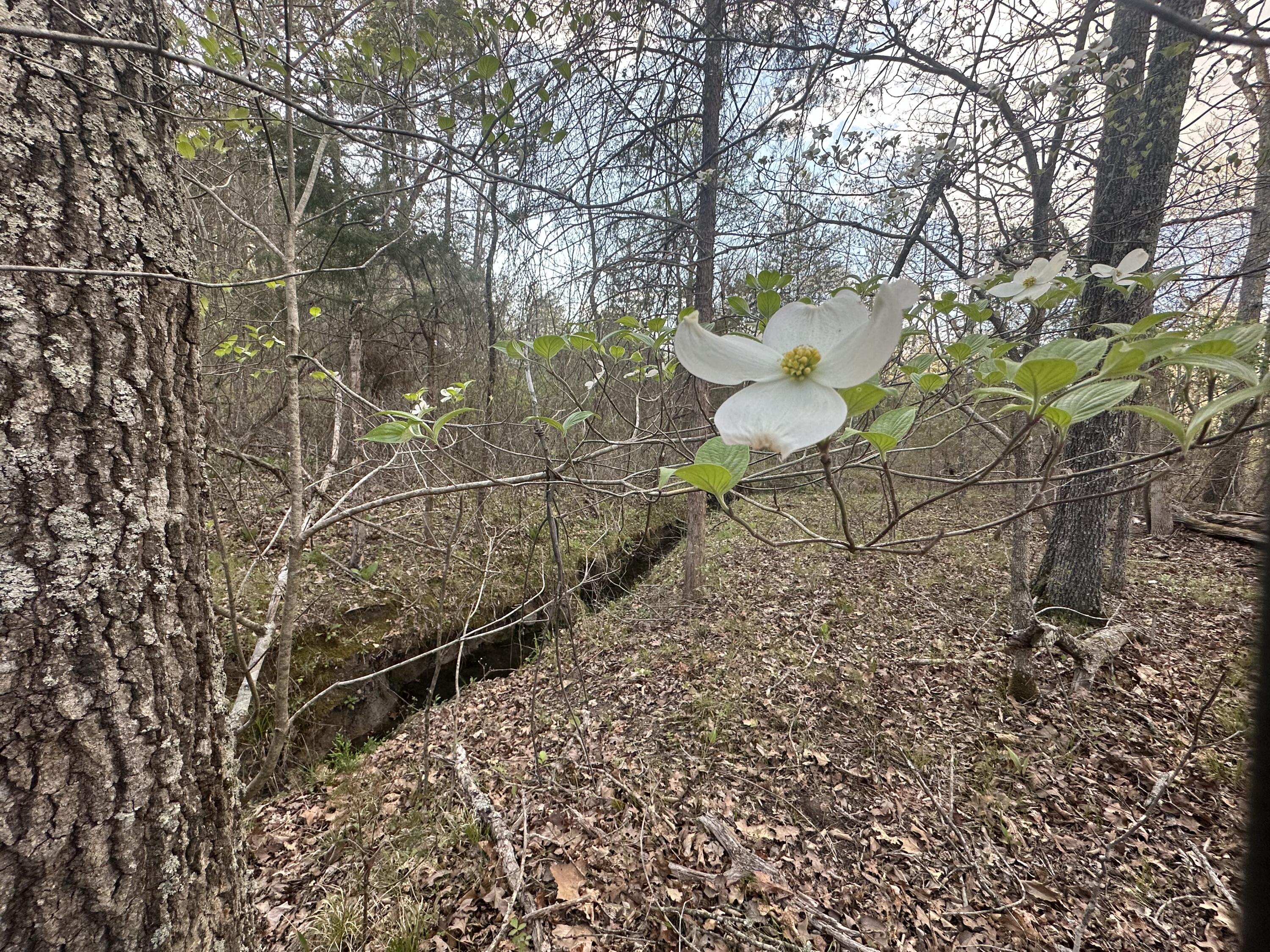 6378 State Route 142 Property Photo 58
