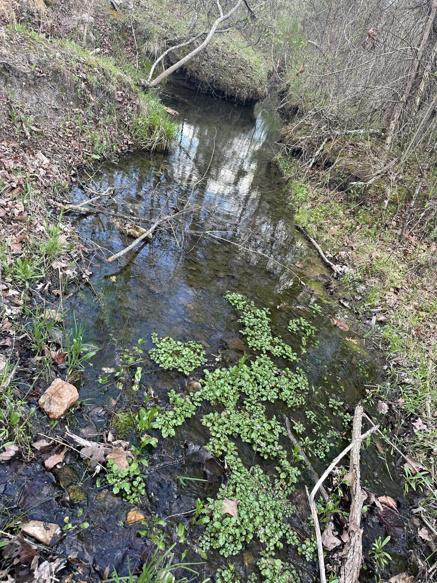 6378 State Route 142 Property Photo 62