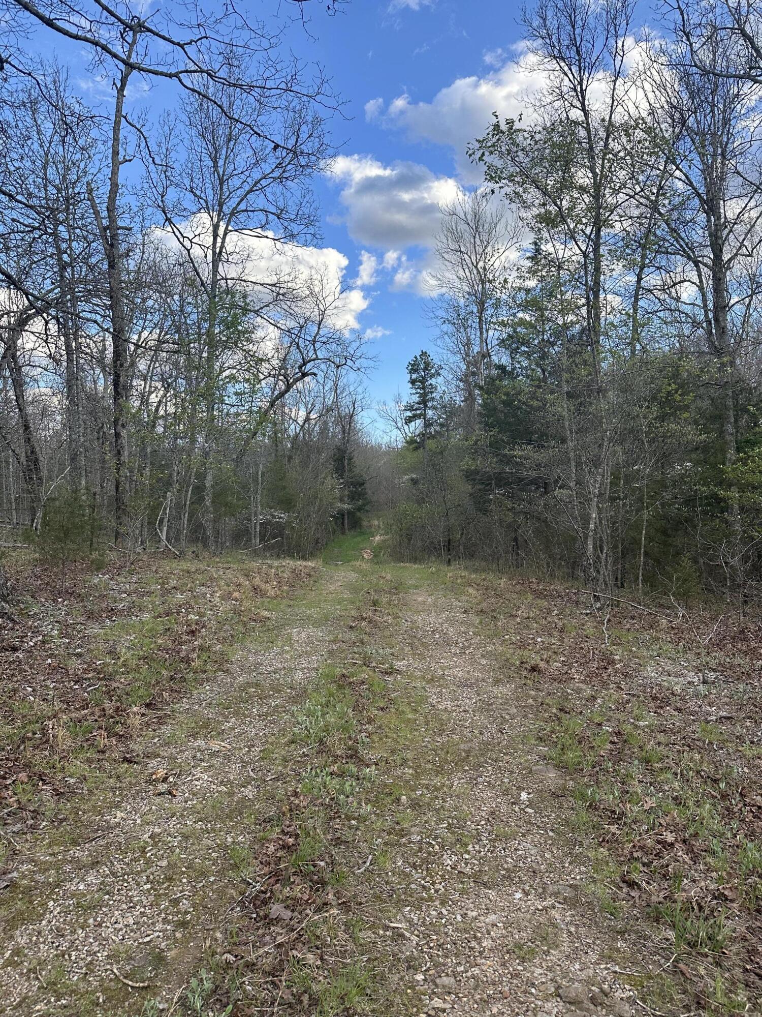 6378 State Route 142 Property Photo 66