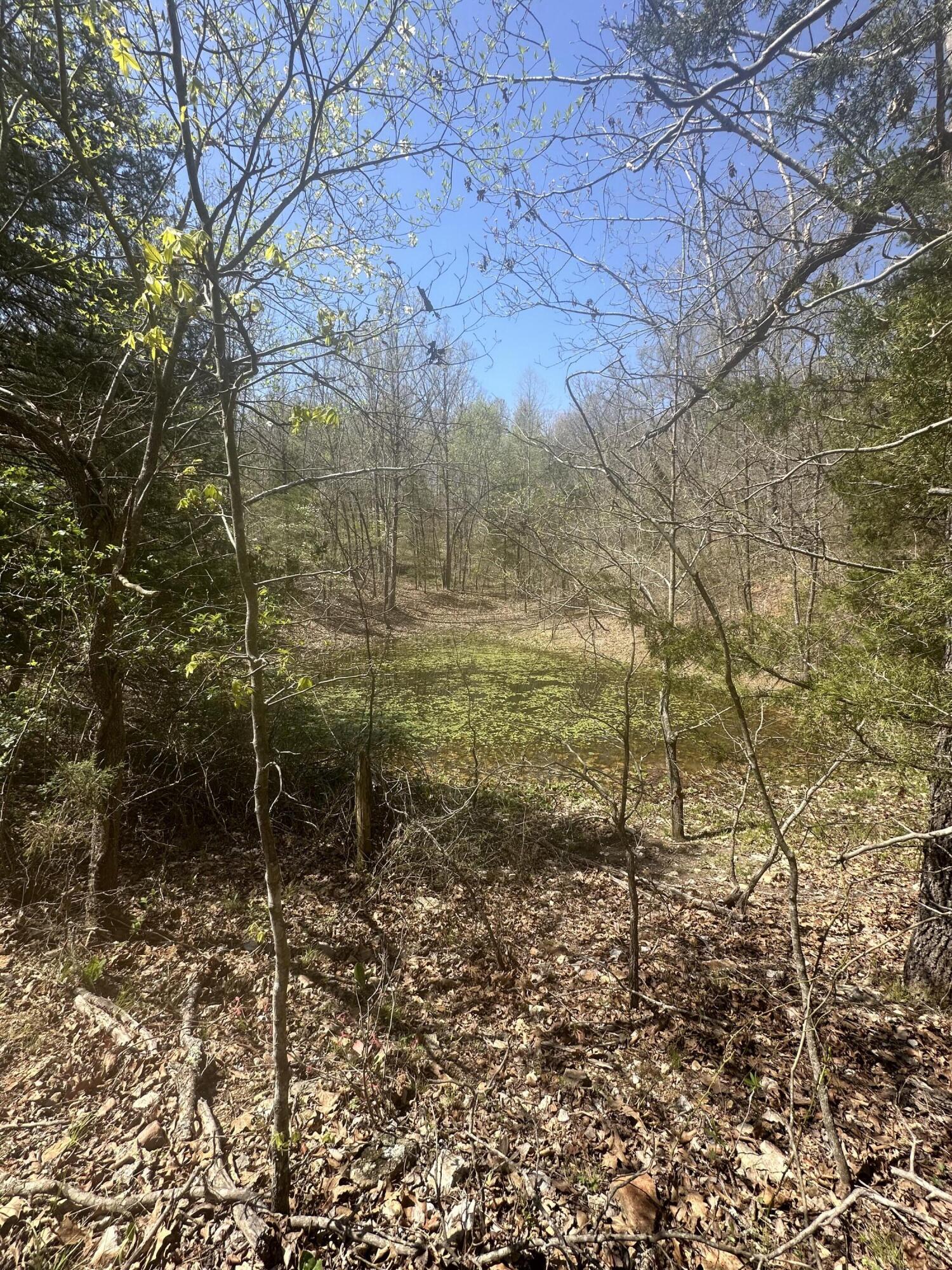 6378 State Route 142 Property Photo 67