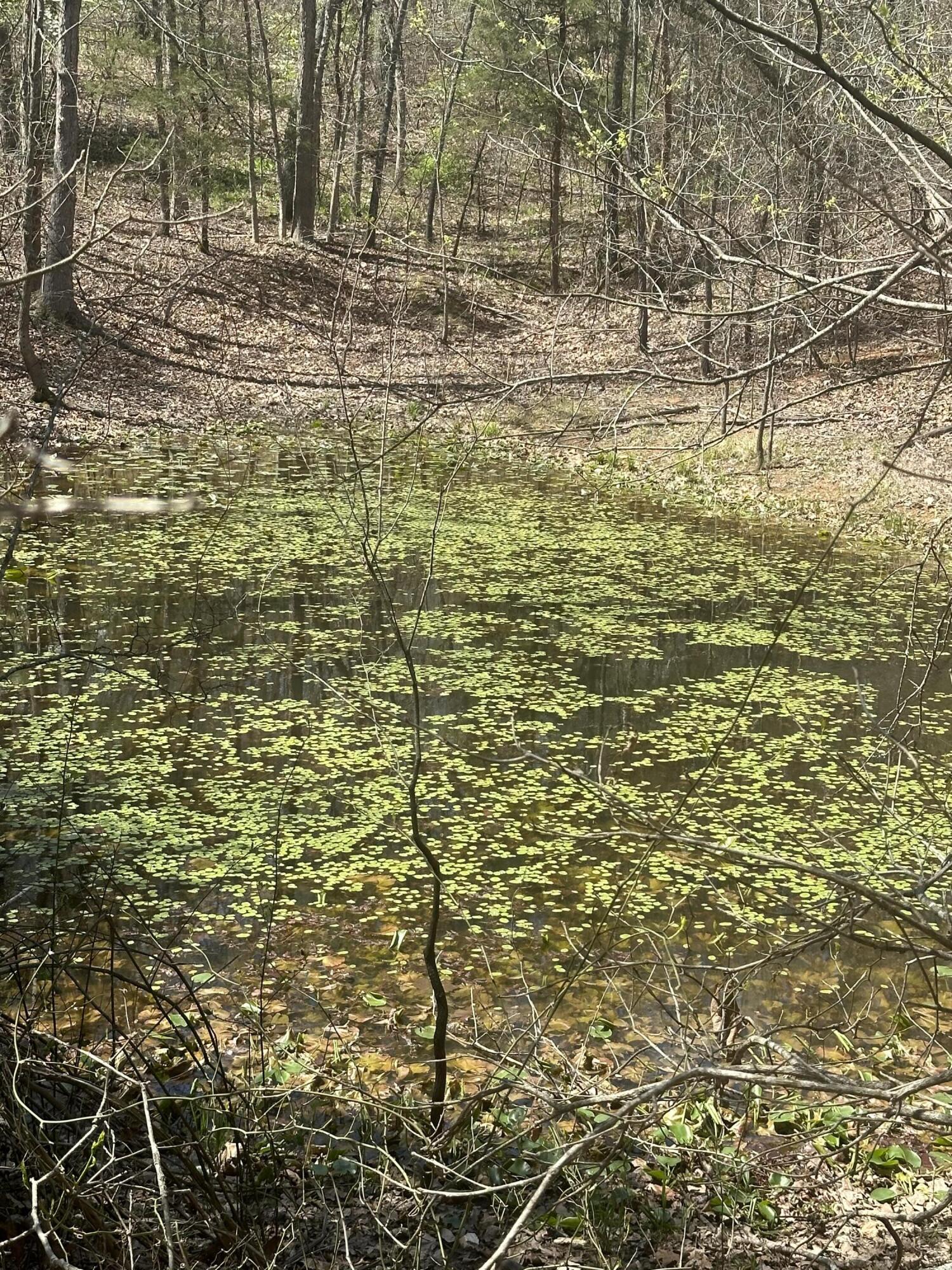 6378 State Route 142 Property Photo 68