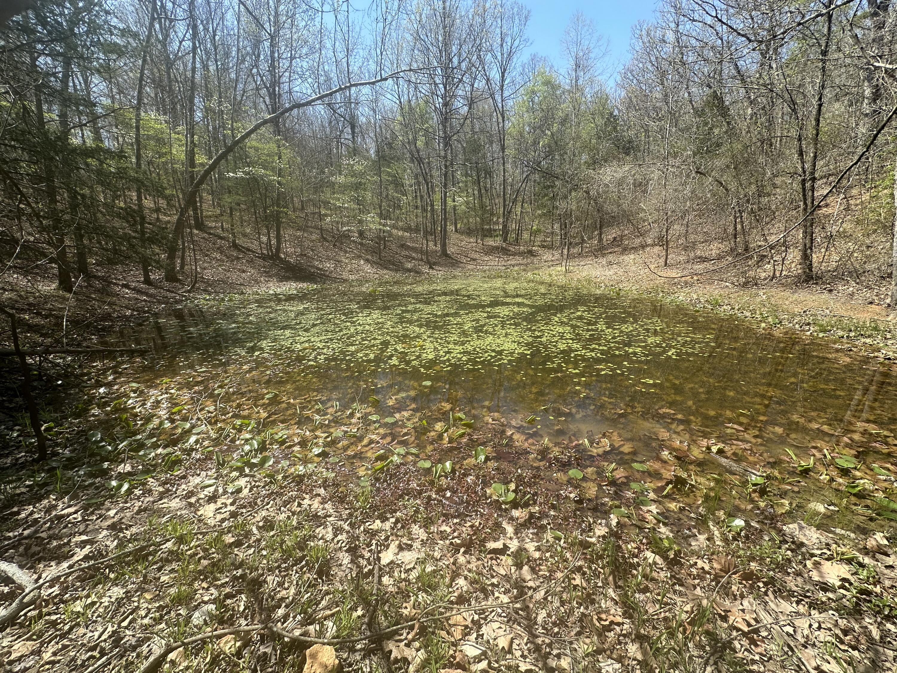 6378 State Route 142 Property Photo 69