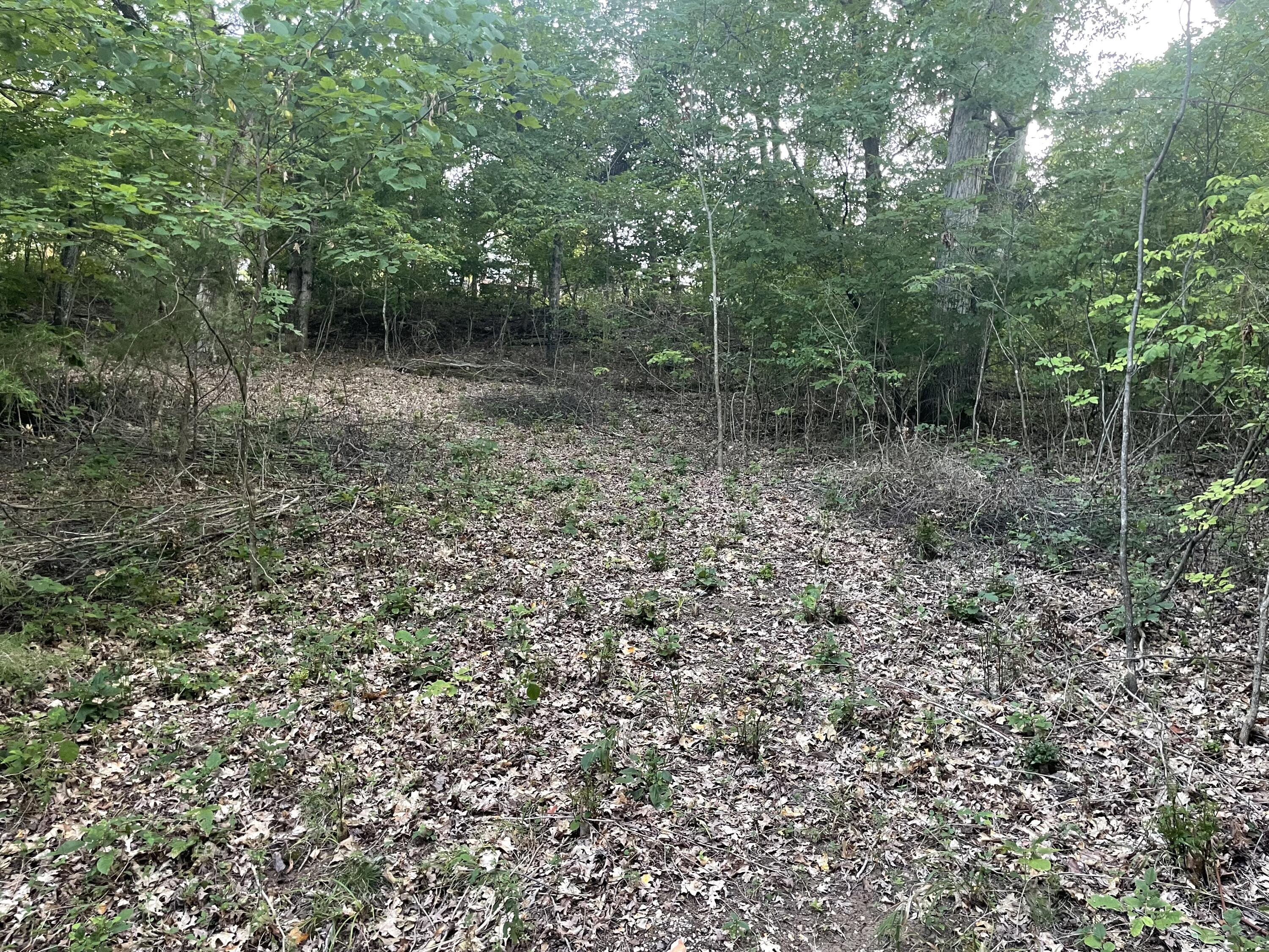 Lot 75 Country Lane Property Photo 3