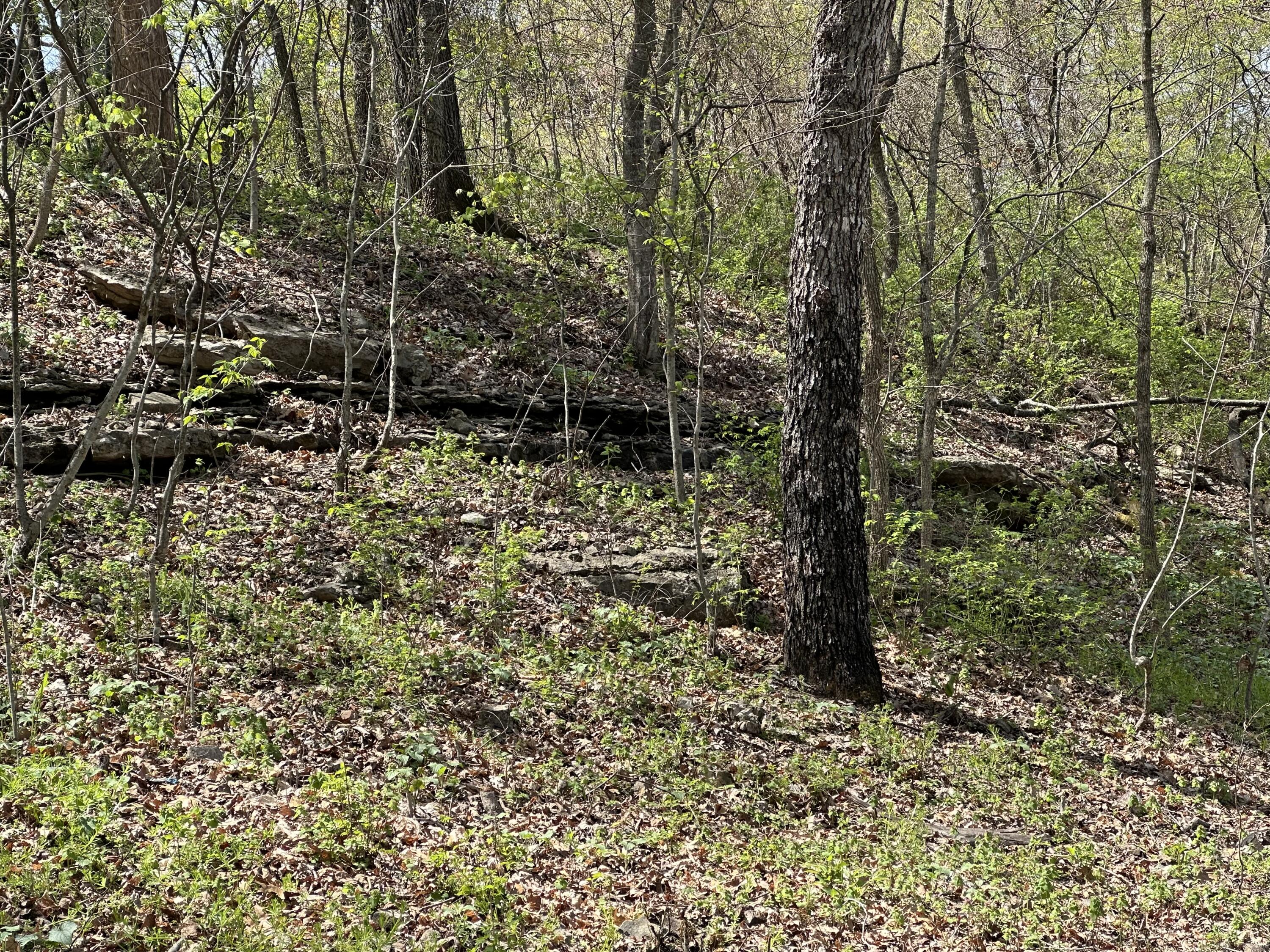 Lot 75 Country Lane Property Photo 4