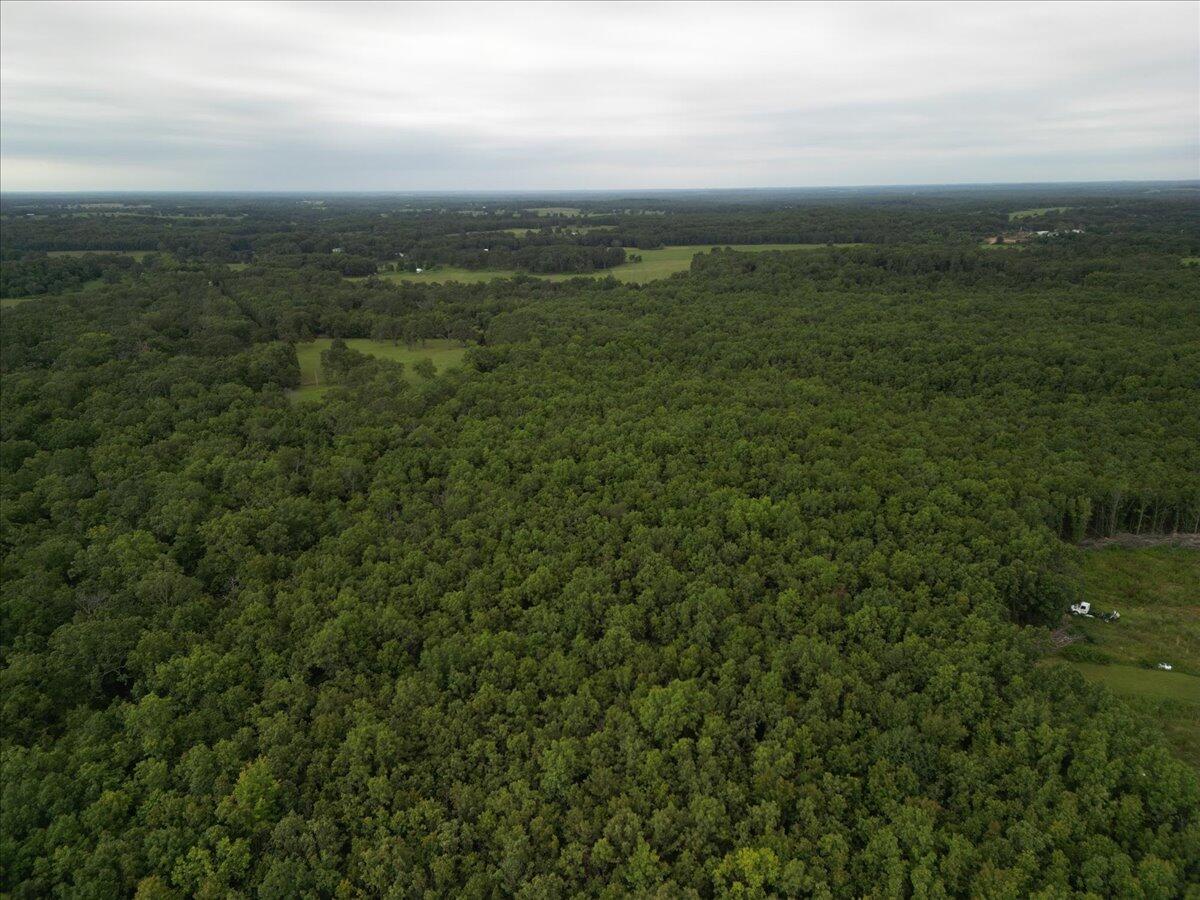 6962 U.s Hwy 60 Property Photo 6