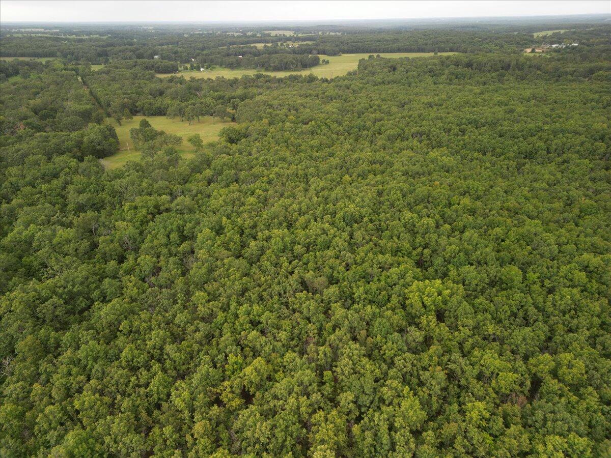 6962 U.s Hwy 60 Property Photo 8