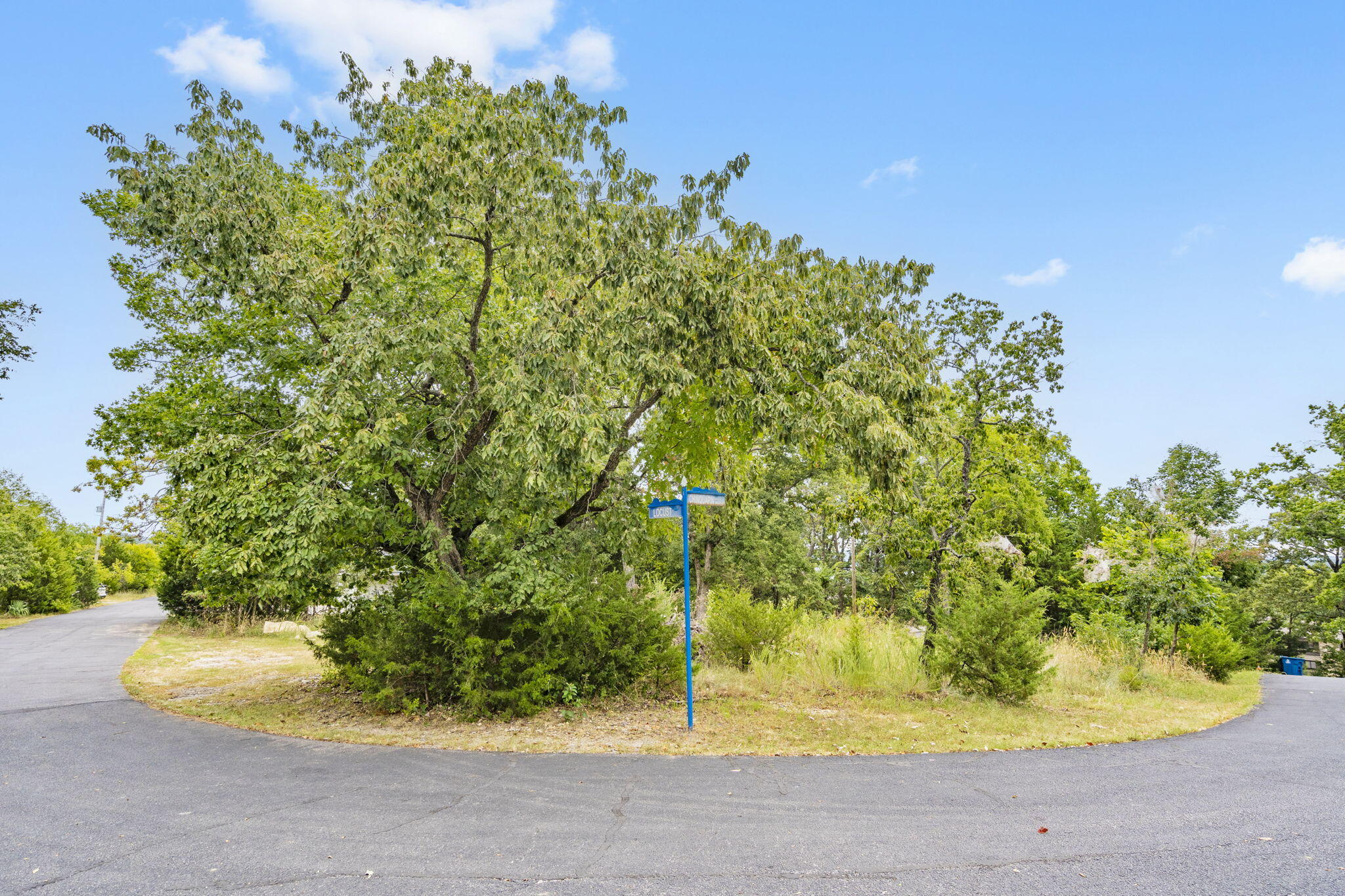 Lot 47 Dogwood Valley Estates Property Photo 6