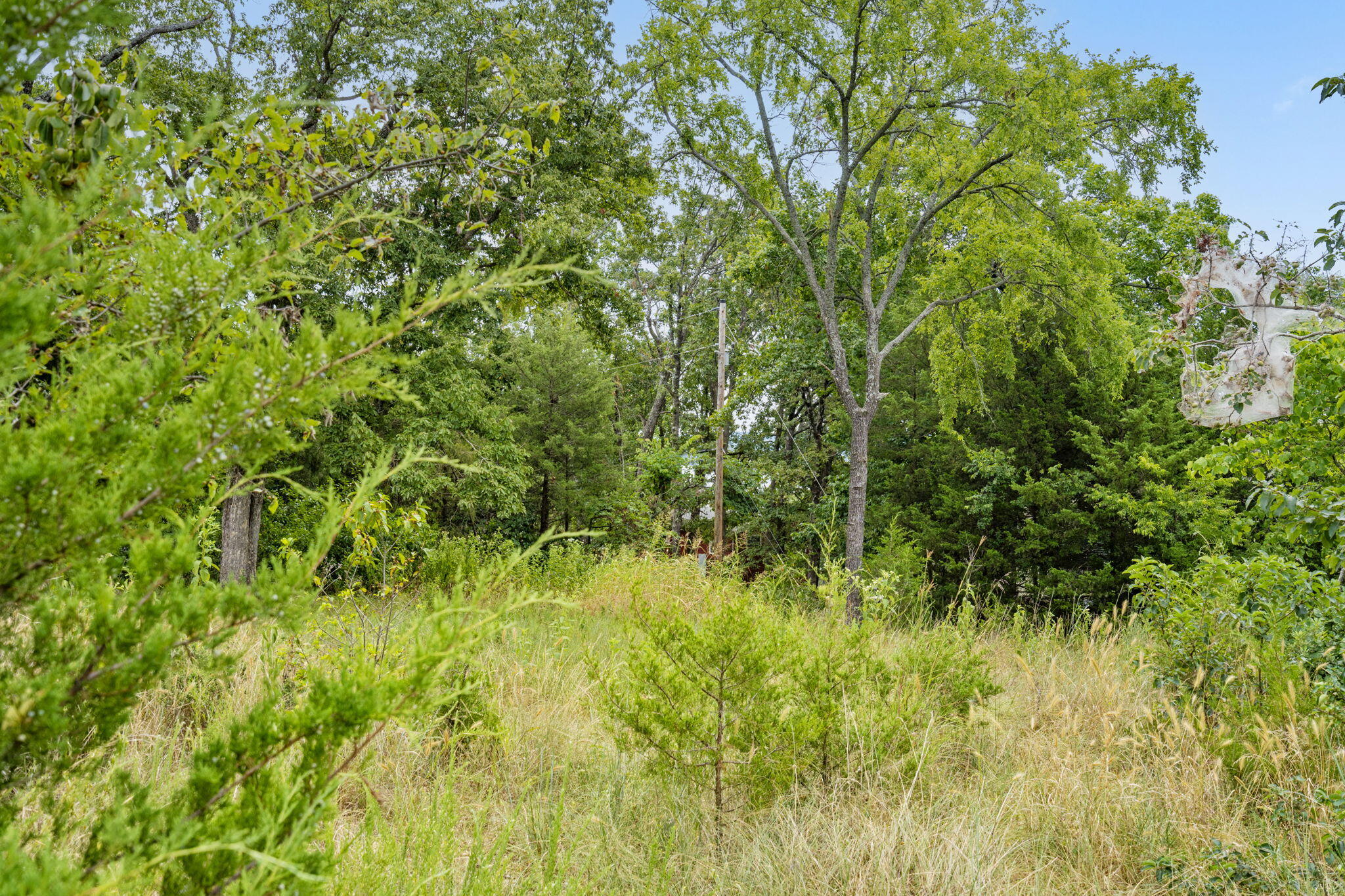 Lot 47 Dogwood Valley Estates Property Photo 10