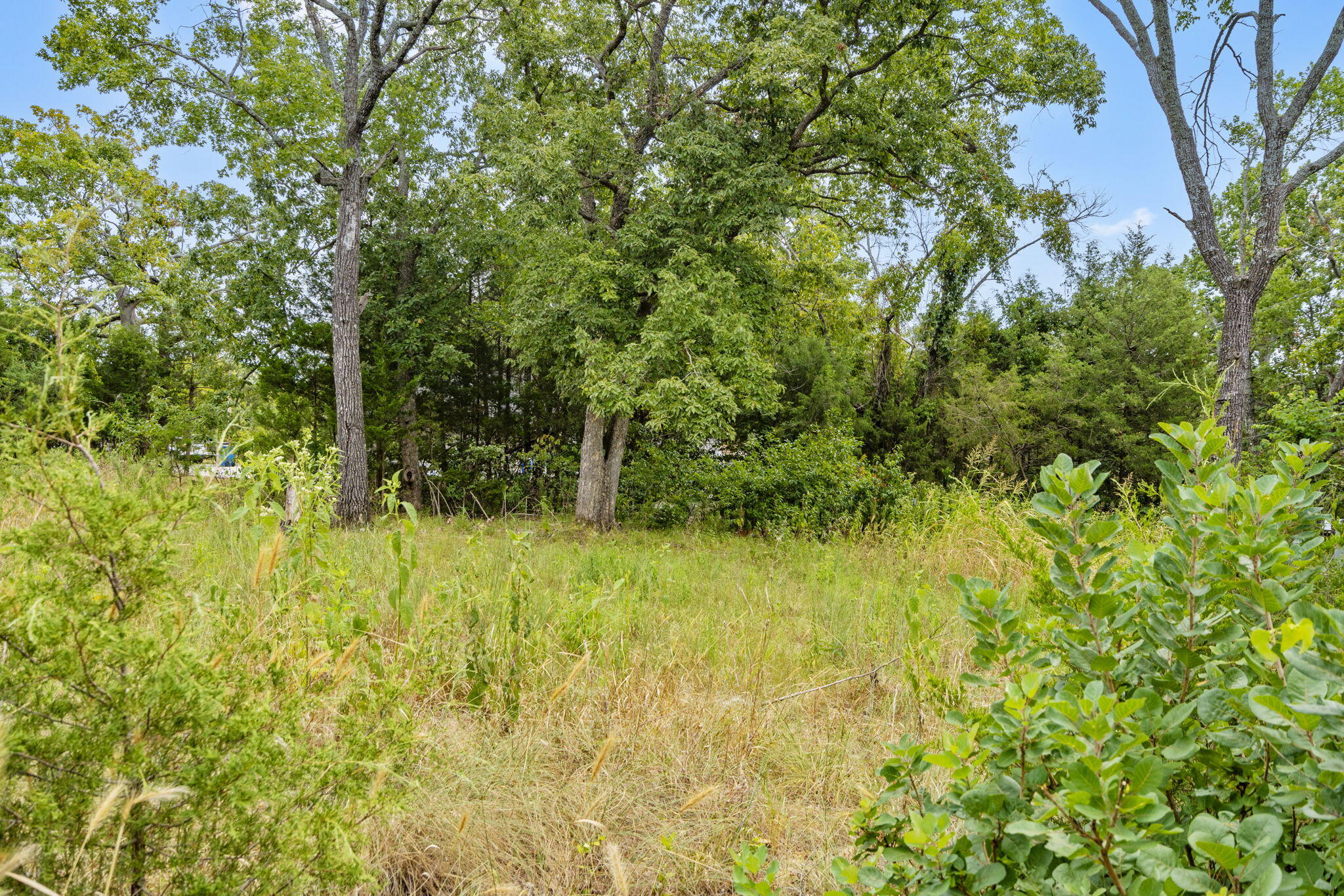 Lot 47 Dogwood Valley Estates Property Photo 11