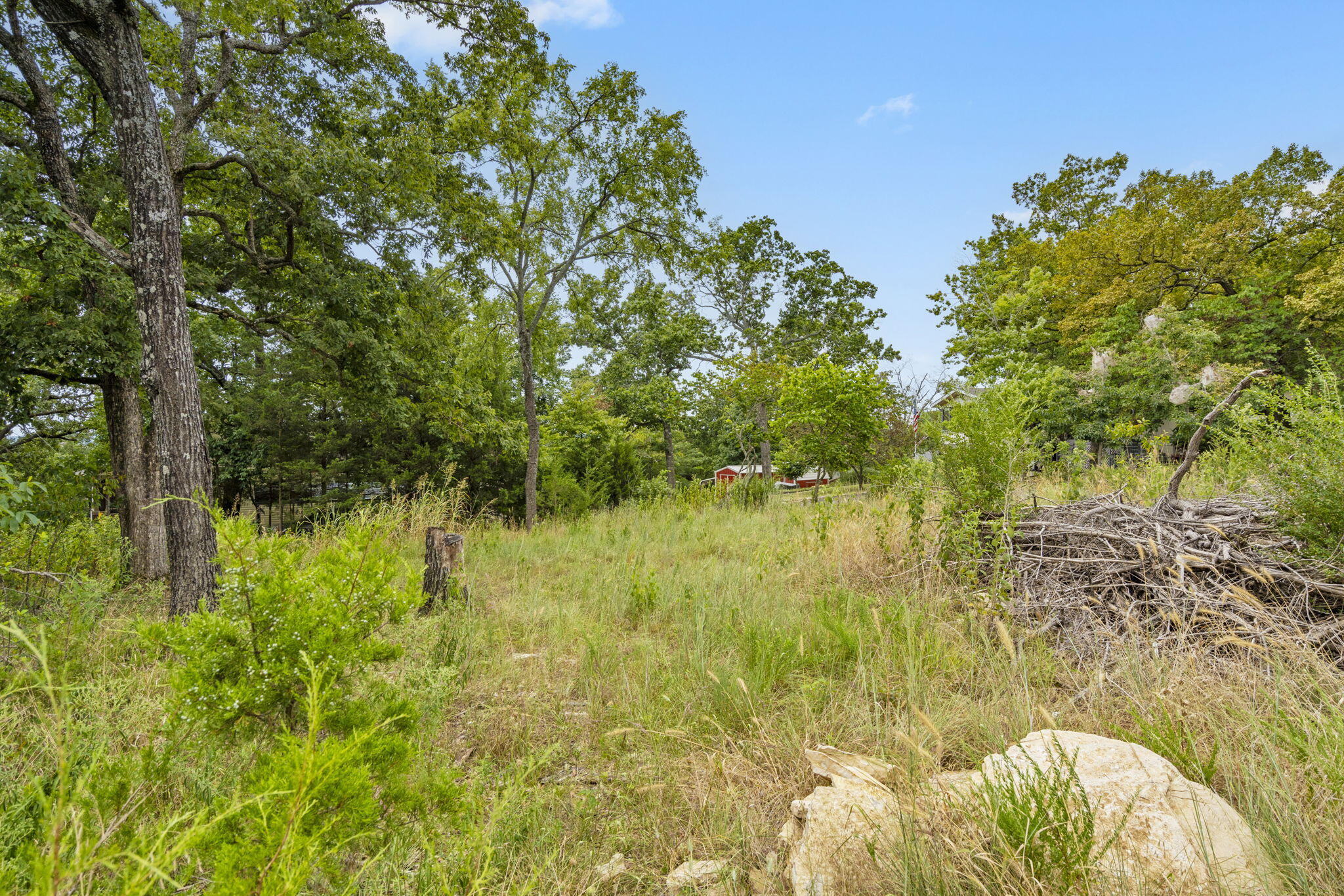 Lot 47 Dogwood Valley Estates Property Photo 12