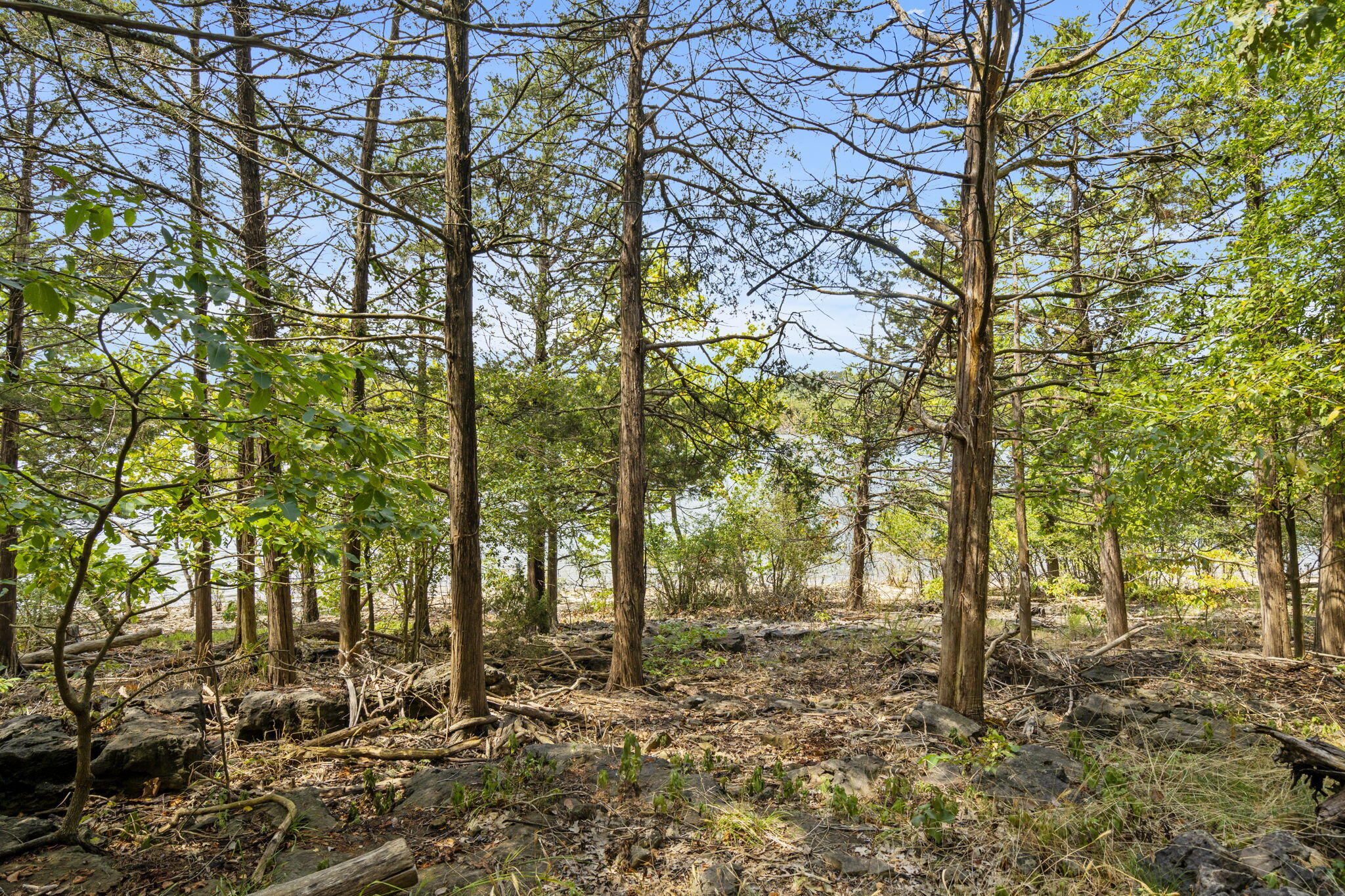22500 West Randy Drive Property Photo 47
