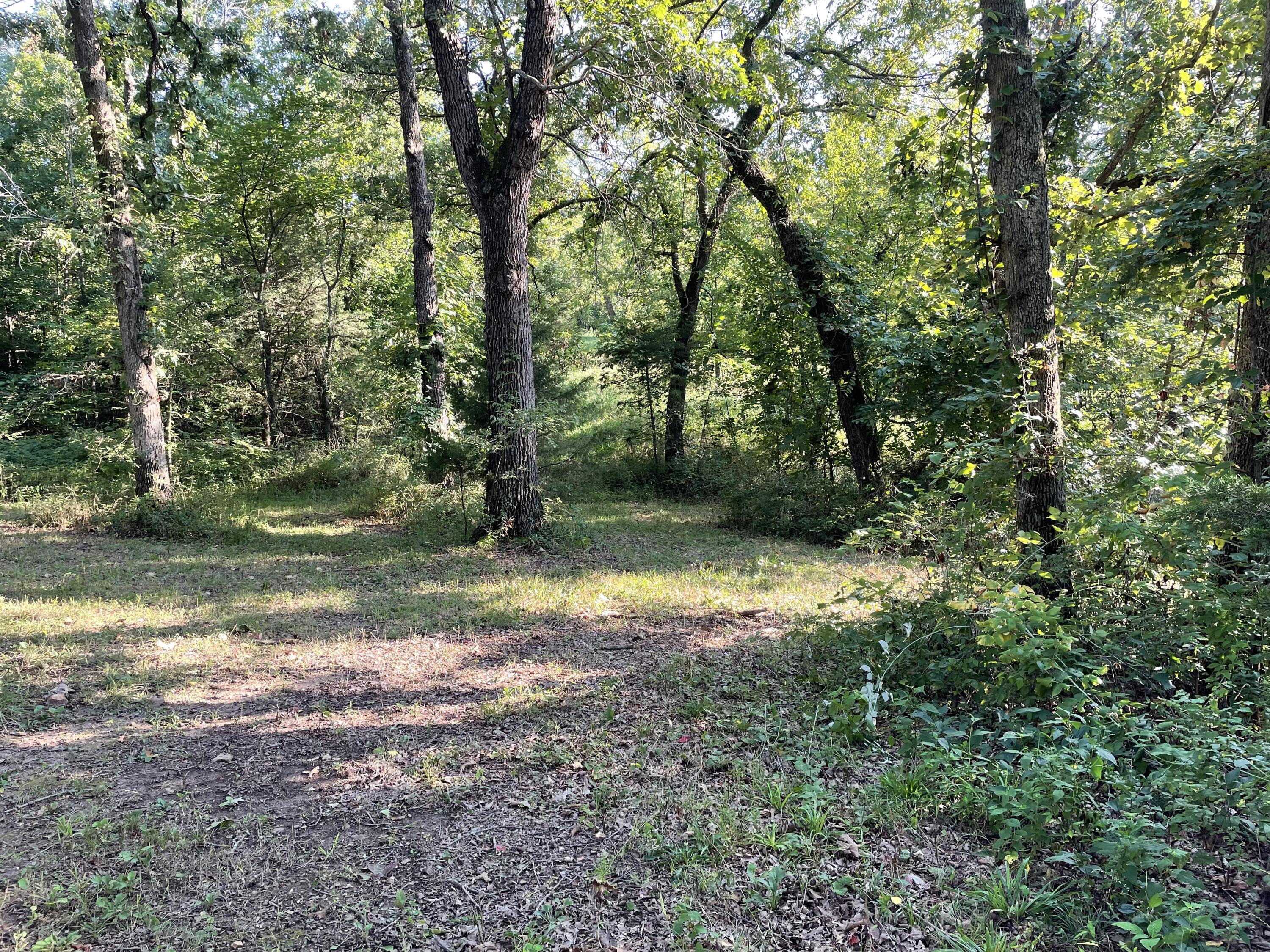 3495 State Highway P Property Photo 25
