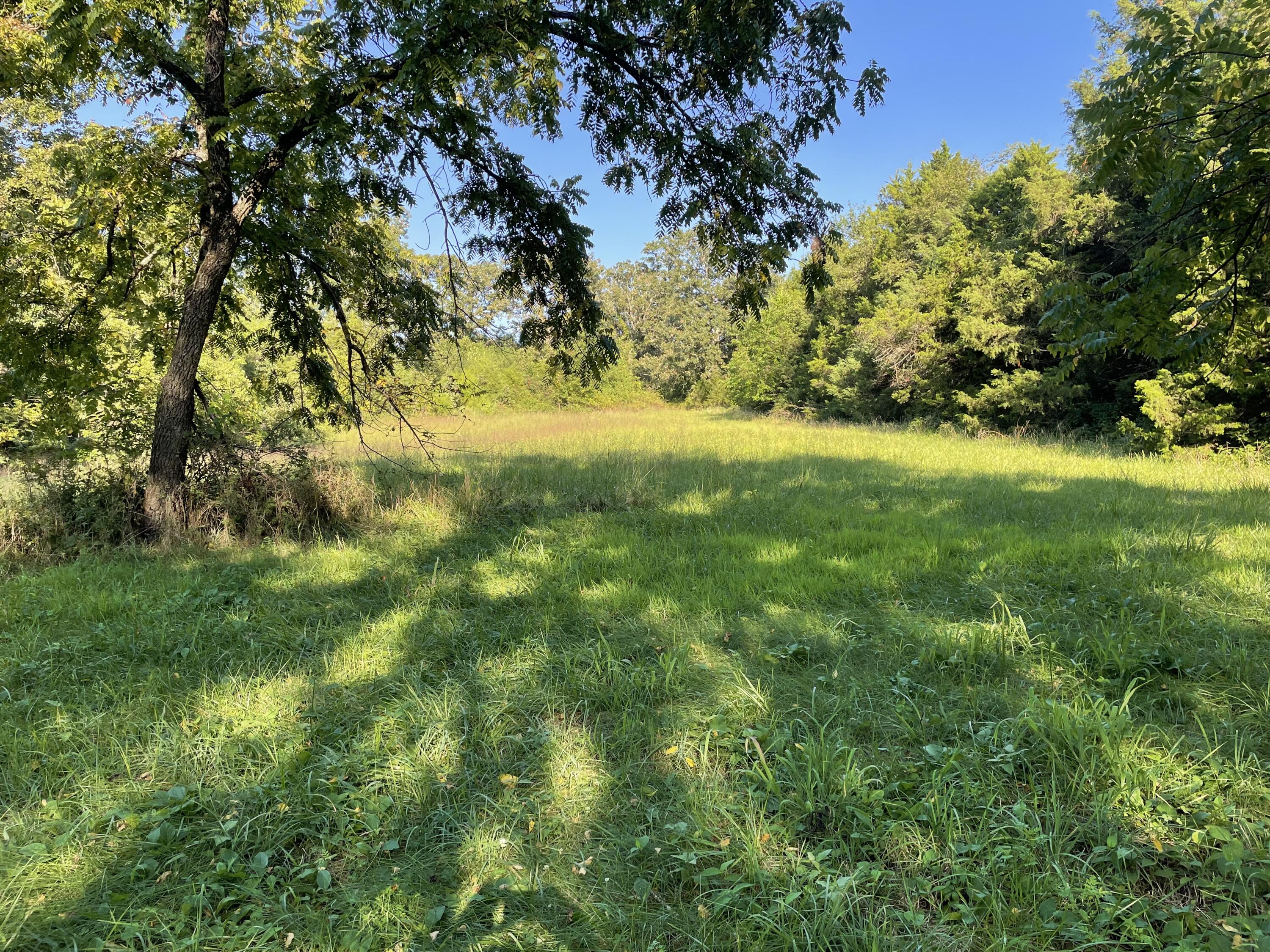 3495 State Highway P Property Photo 28