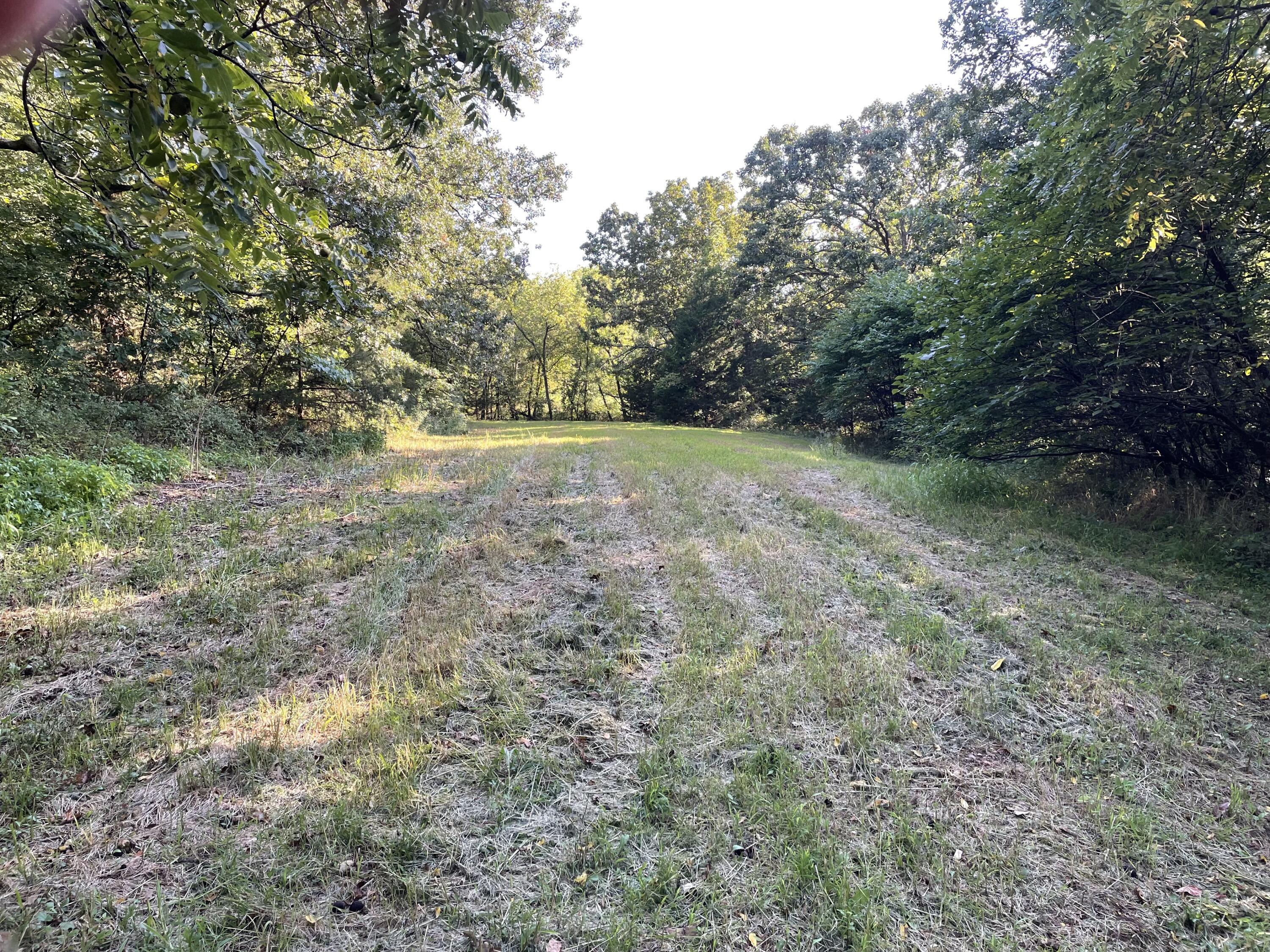 3495 State Highway P Property Photo 30