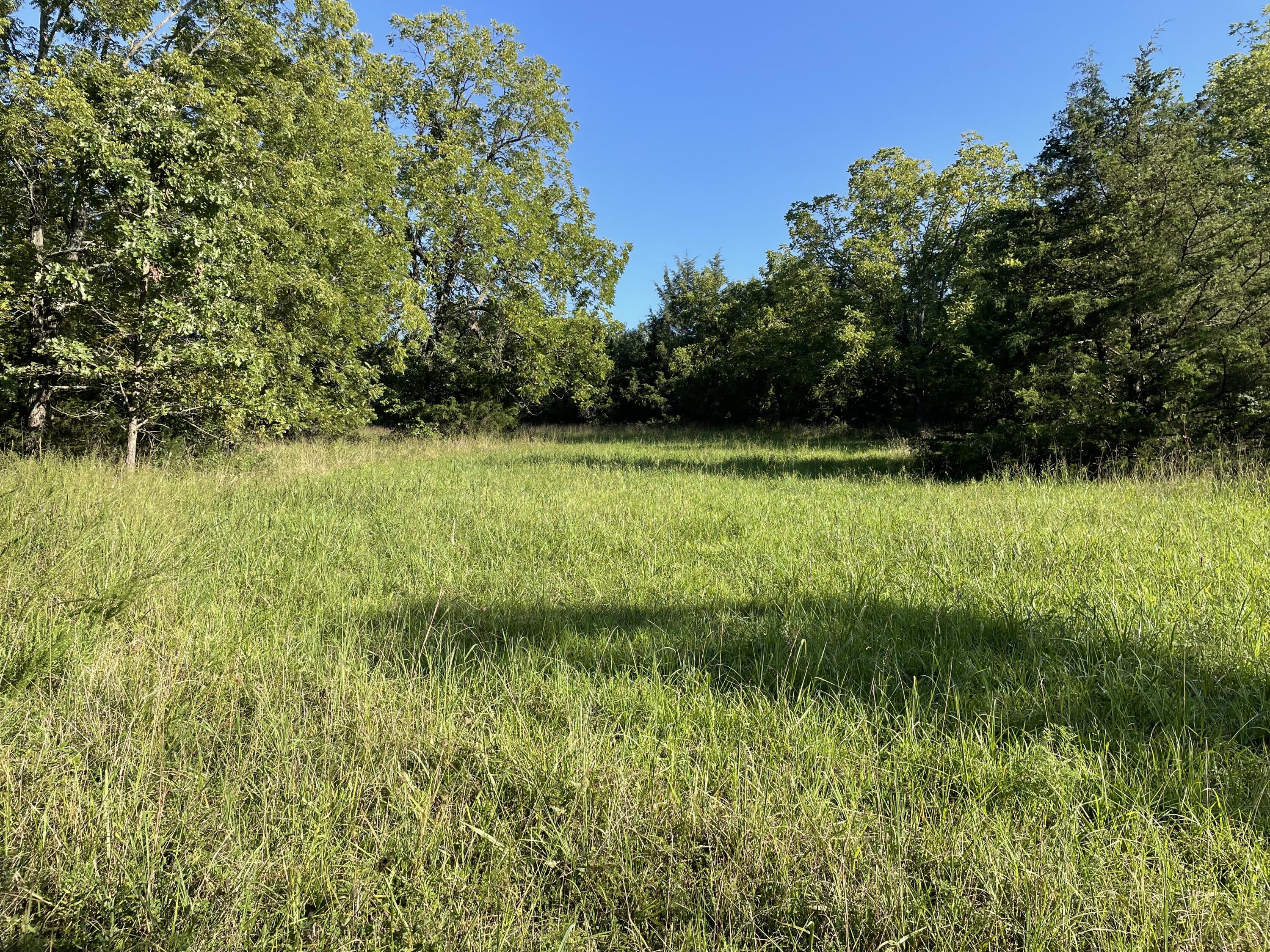 3495 State Highway P Property Photo 31