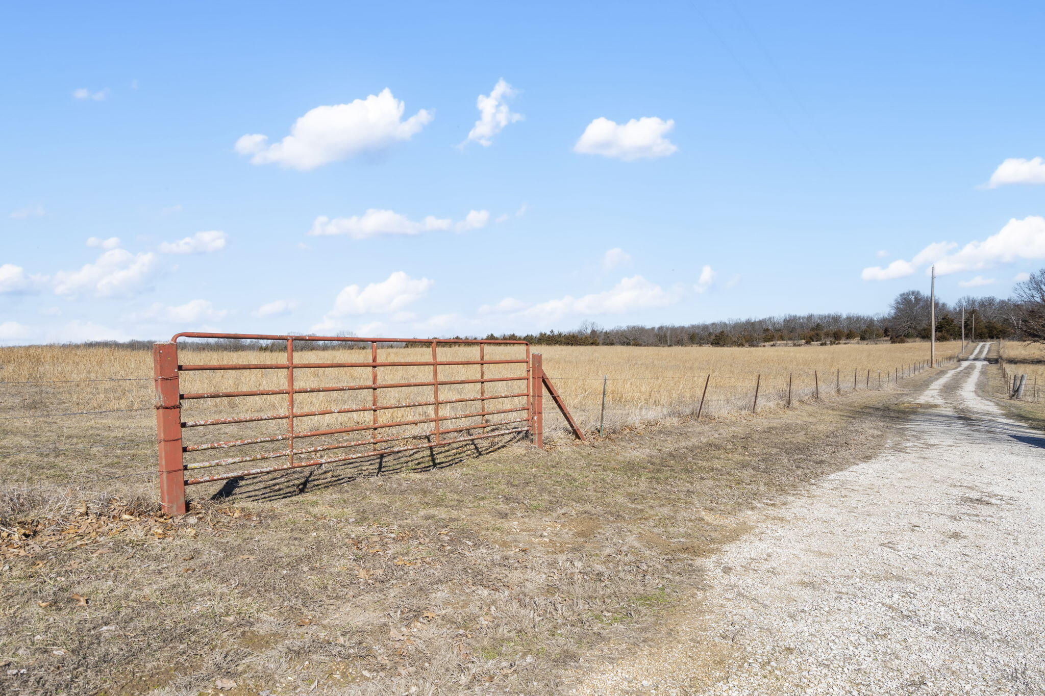 1300 Long Branch Road Property Photo 15