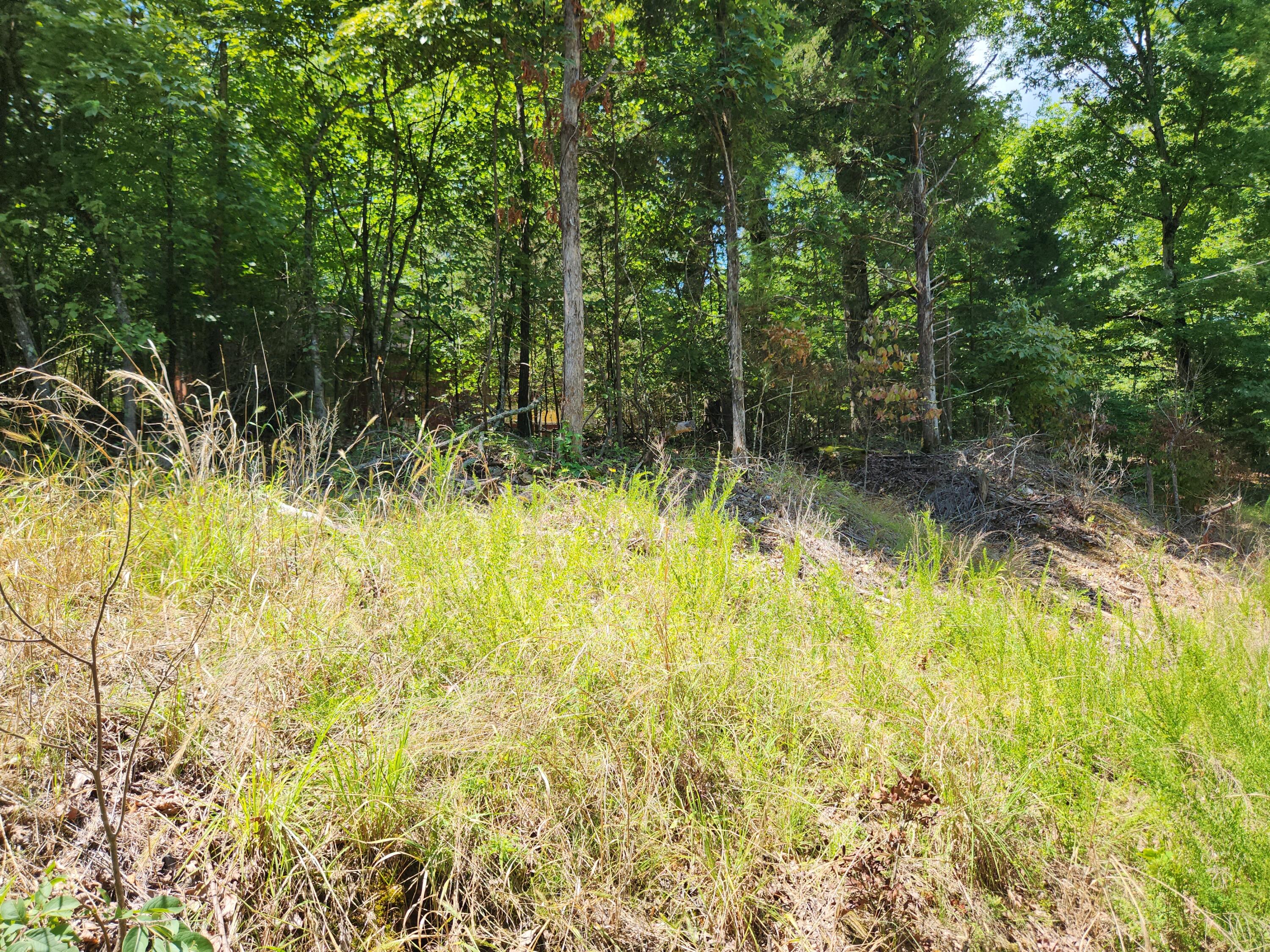 115 Powell Blvd Property Photo 4