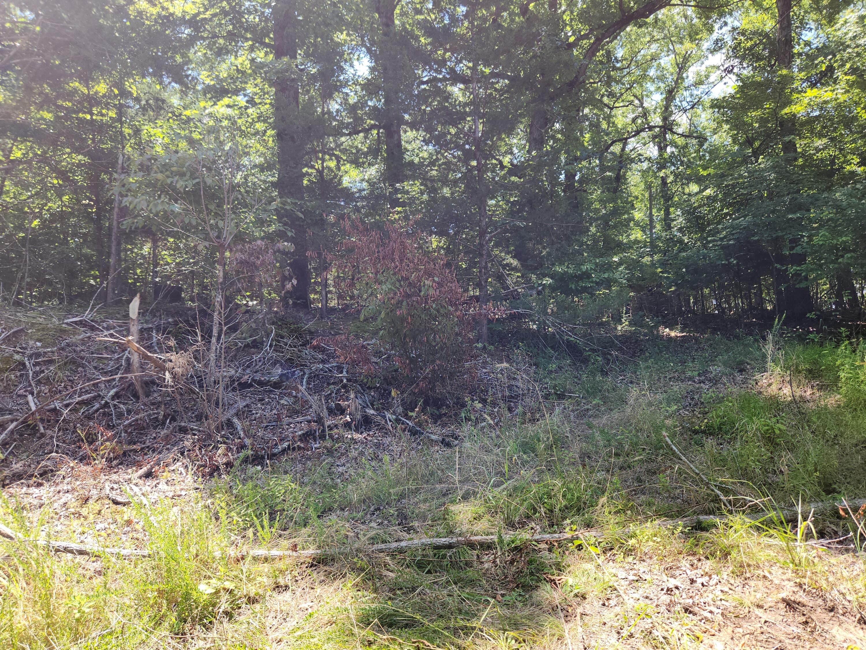 115 Powell Blvd Property Photo 6