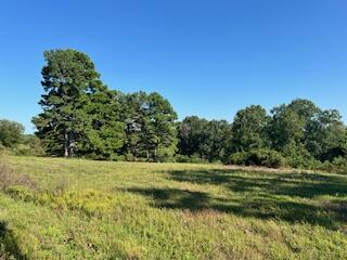 1742 Date Drive Property Photo 3