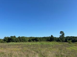 1742 Date Drive Property Photo 6