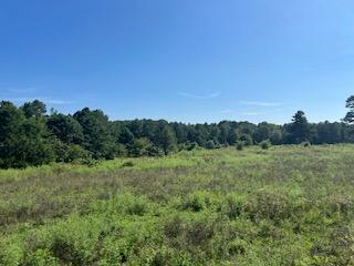 1742 Date Drive Property Photo 46