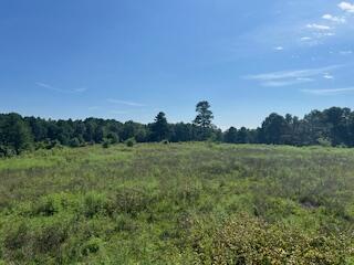1742 Date Drive Property Photo 49