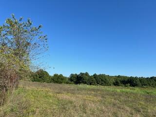 1742 Date Drive Property Photo 52