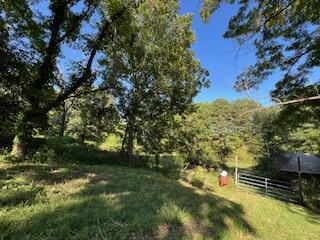 1742 Date Drive Property Photo 60