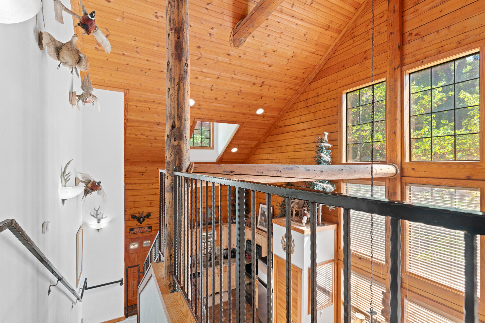 239 Oakridge Road Property Photo 49